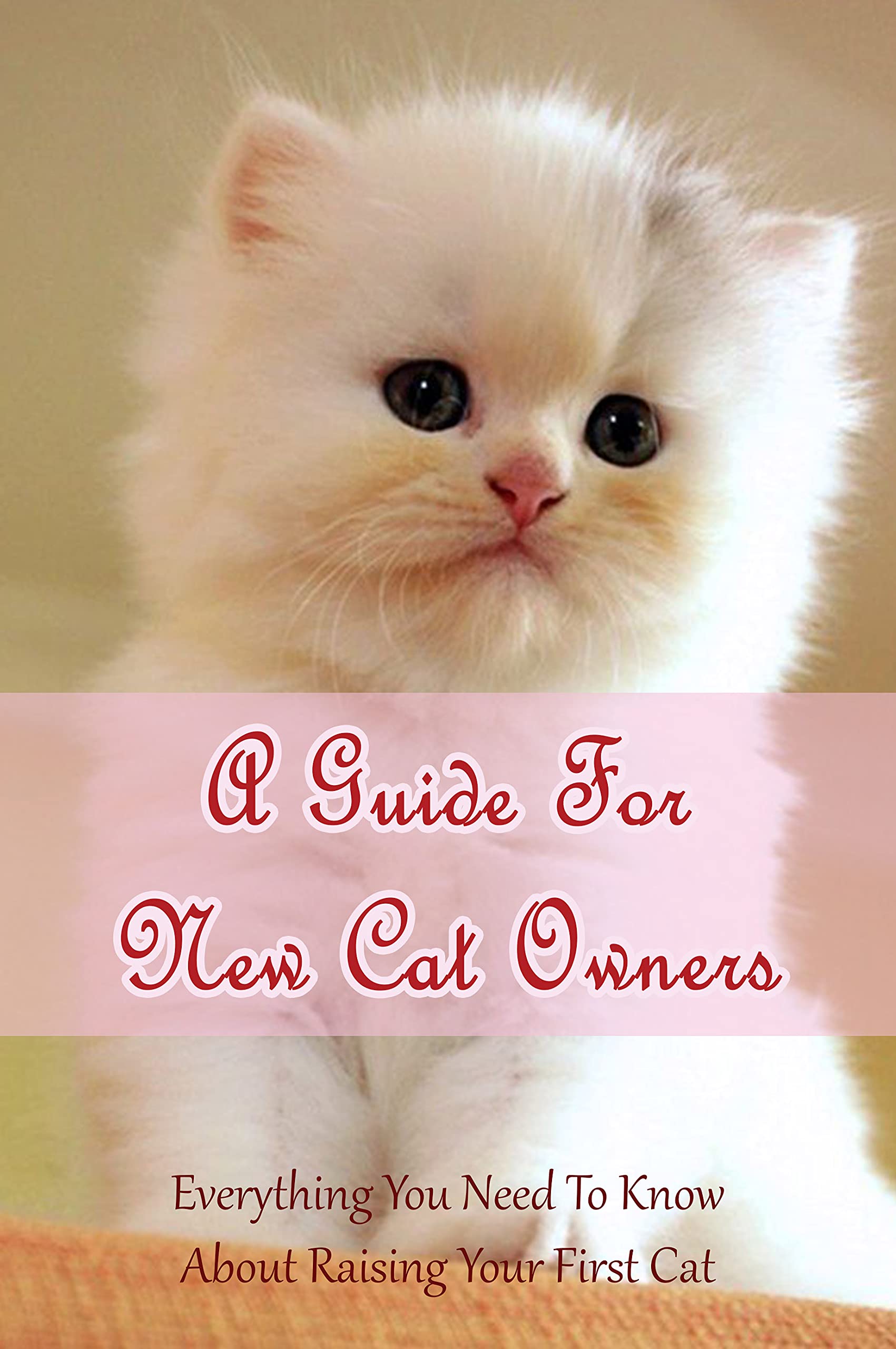 A Guide For New Cat Owners Everything You Need To Know About Raising