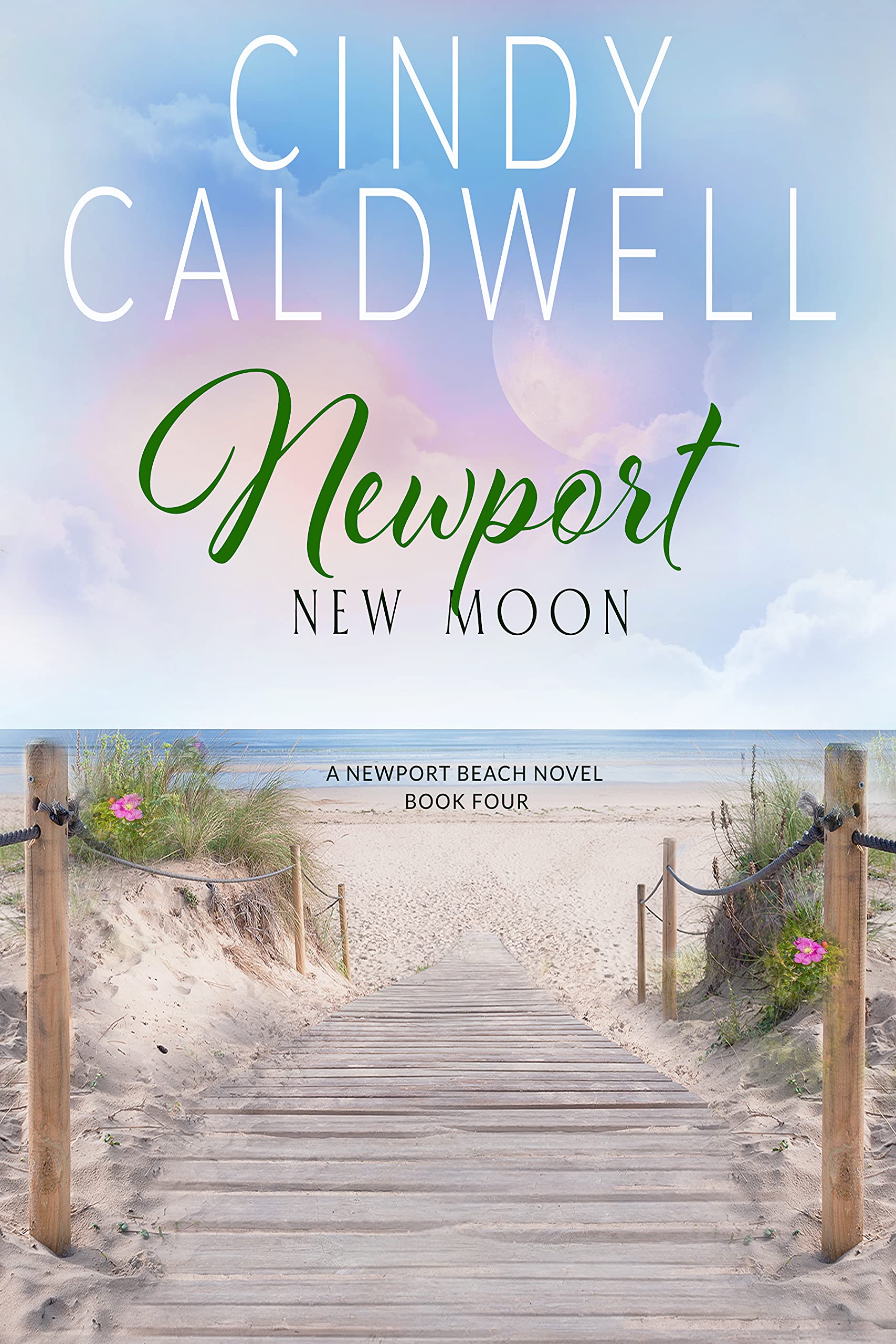 Newport New Moon book cover