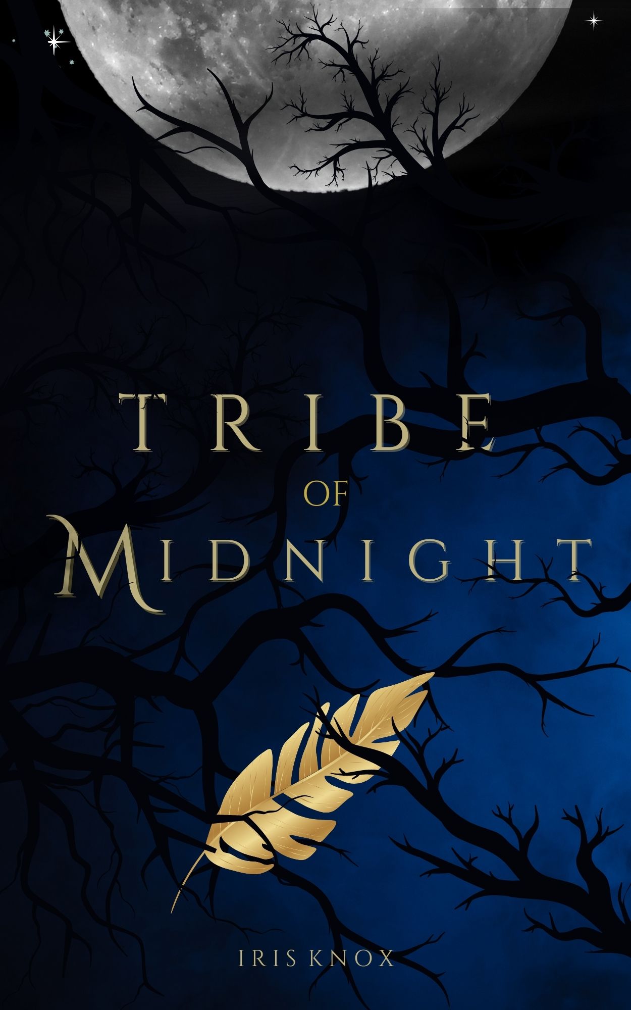 Tribe of Midnight