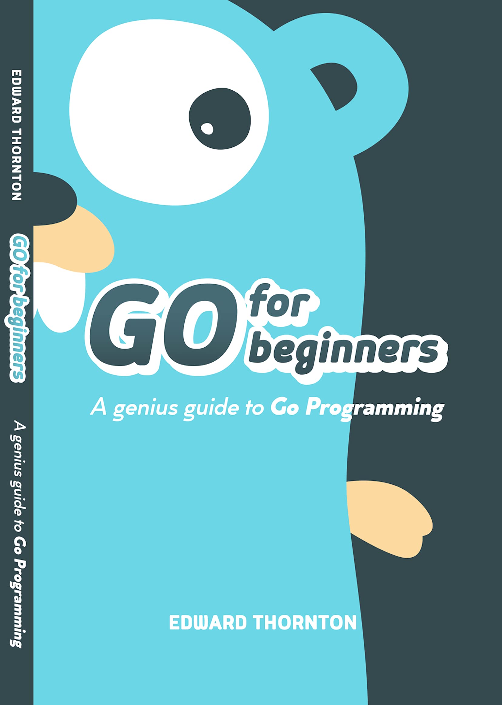Go For Beginners : A Genius Guide to Go Programing by Edward Thornton ...