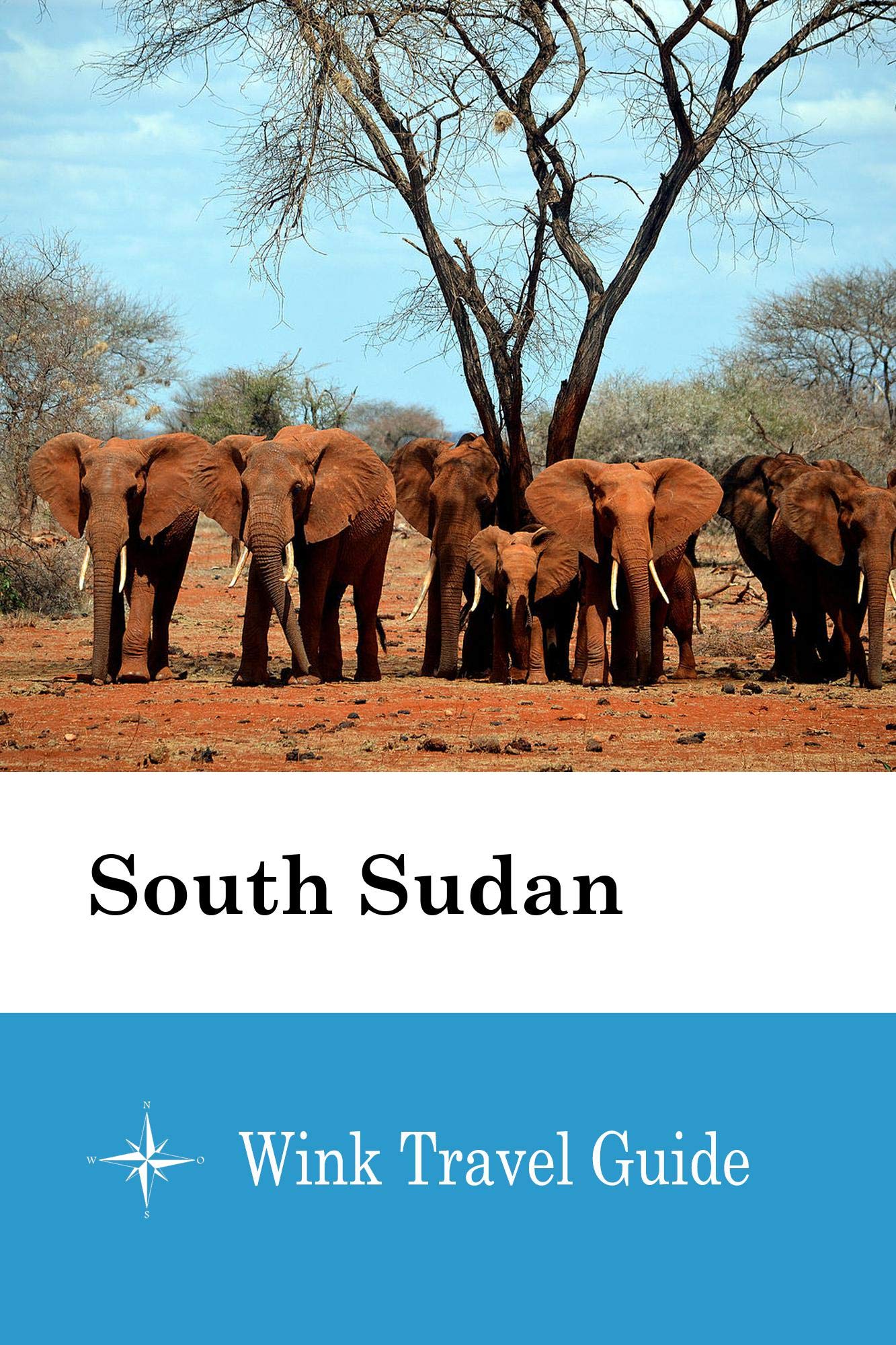 SOUTH SUDAN TRAVEL GUIDE visual data 3