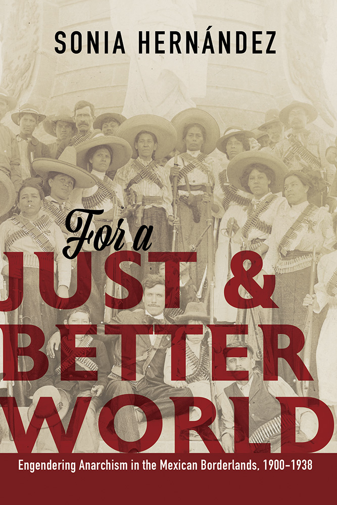 For a Just and Better World book cover