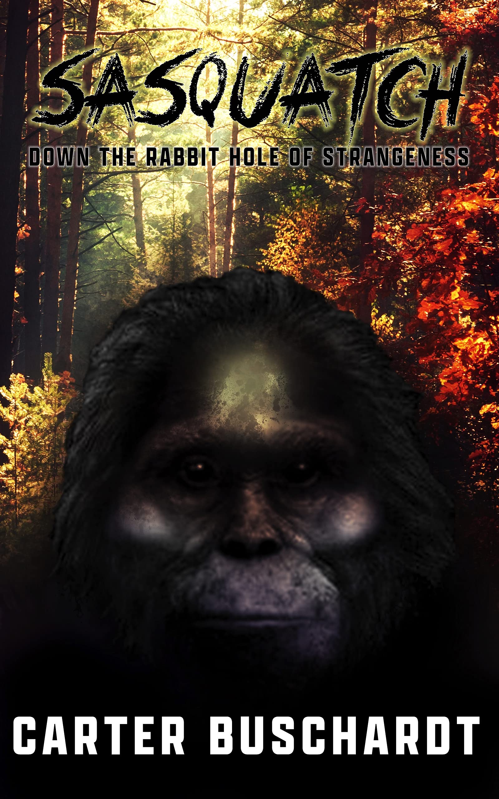 Sasquatch: Evidence of an Enigma