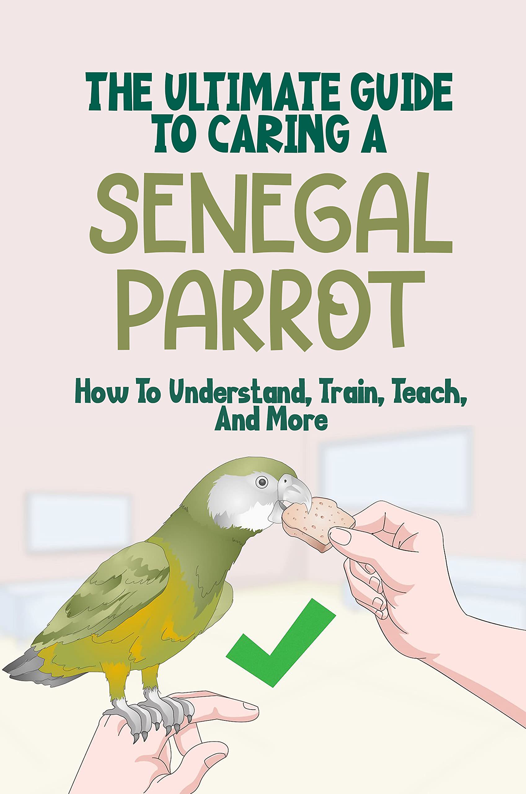The Ultimate Guide To Caring A Senegal Parrot How To Understand, Train