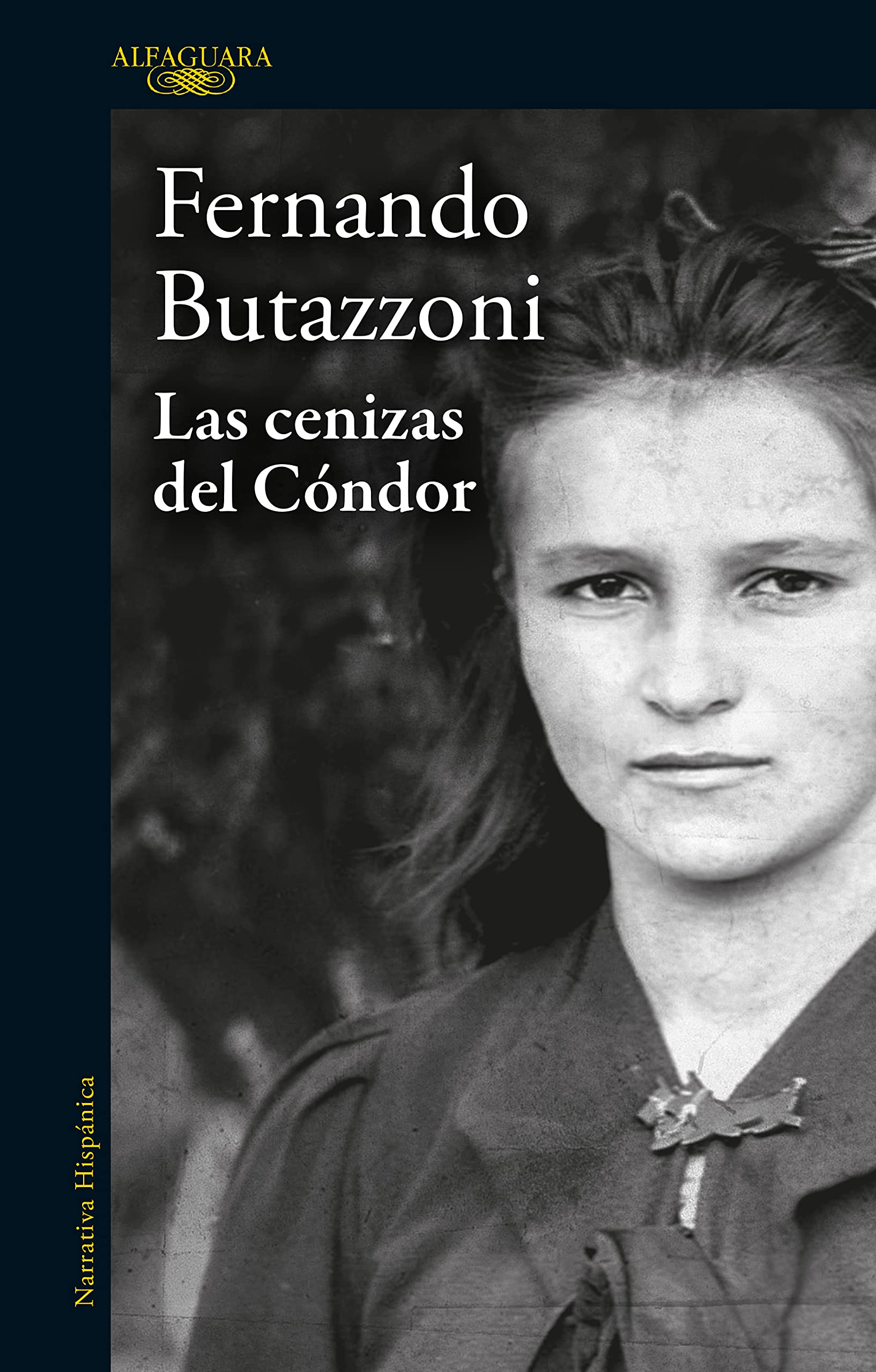 Las cenizas del cóndor