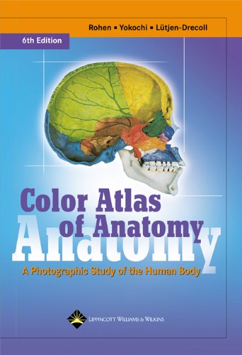 洋書 A Colour Atlas of Human Anatomy Color Atlas of Human Anatomy: Vol. 1 Locomotor System