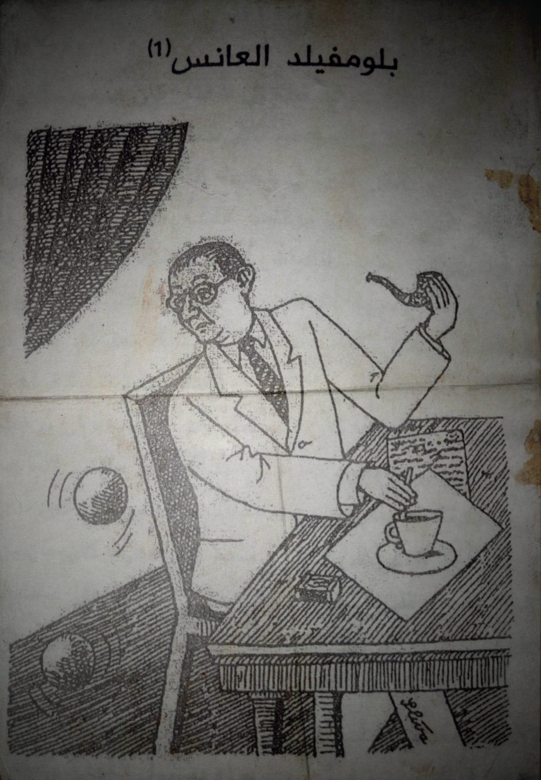 بلومفيلد العانس book cover
