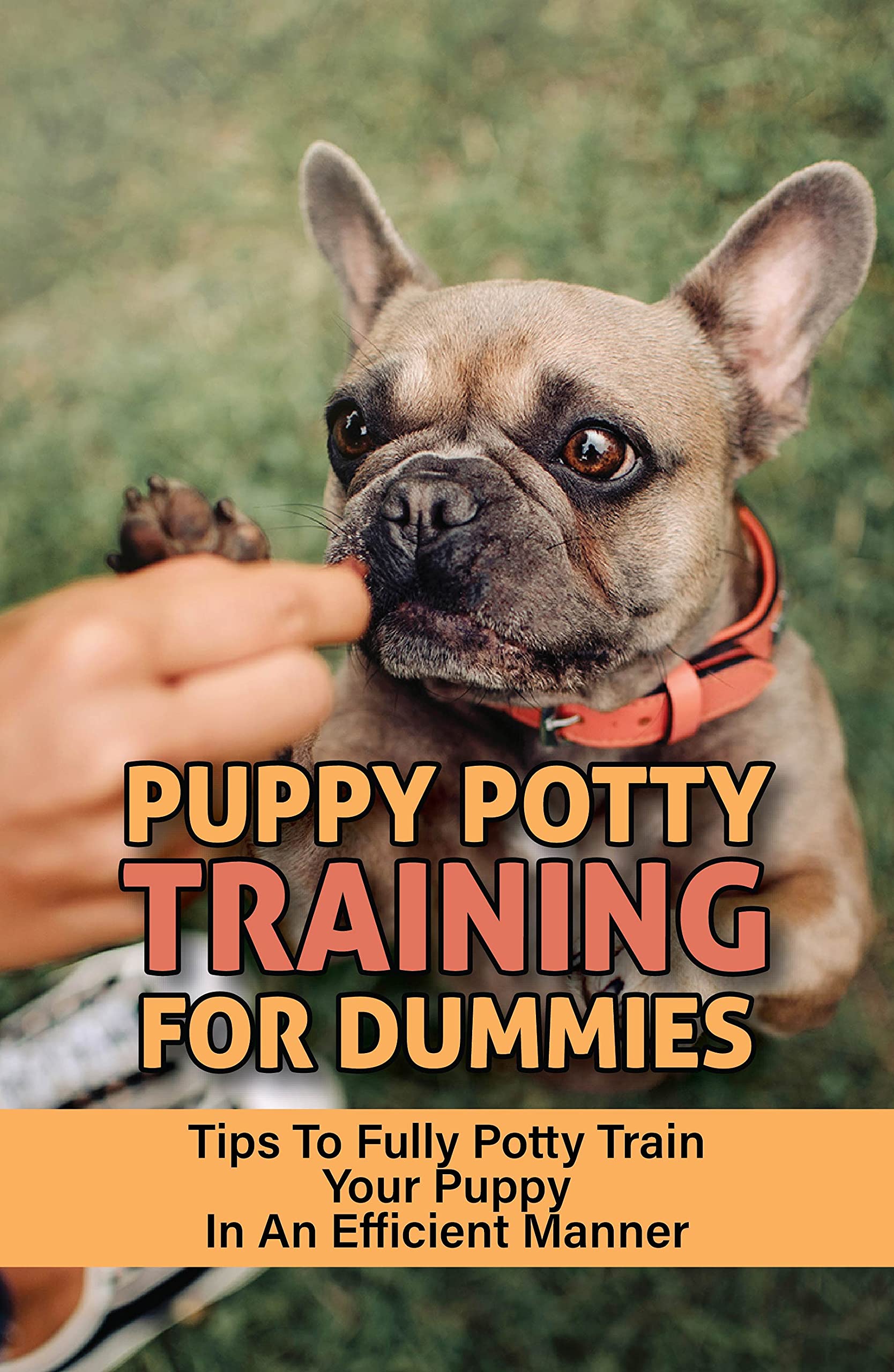 Puppy Potty Training For Dummies Tips To Fully Potty Train Your Puppy