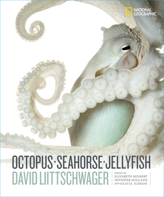 Octopus, Seahorse, Jellyfish book cover