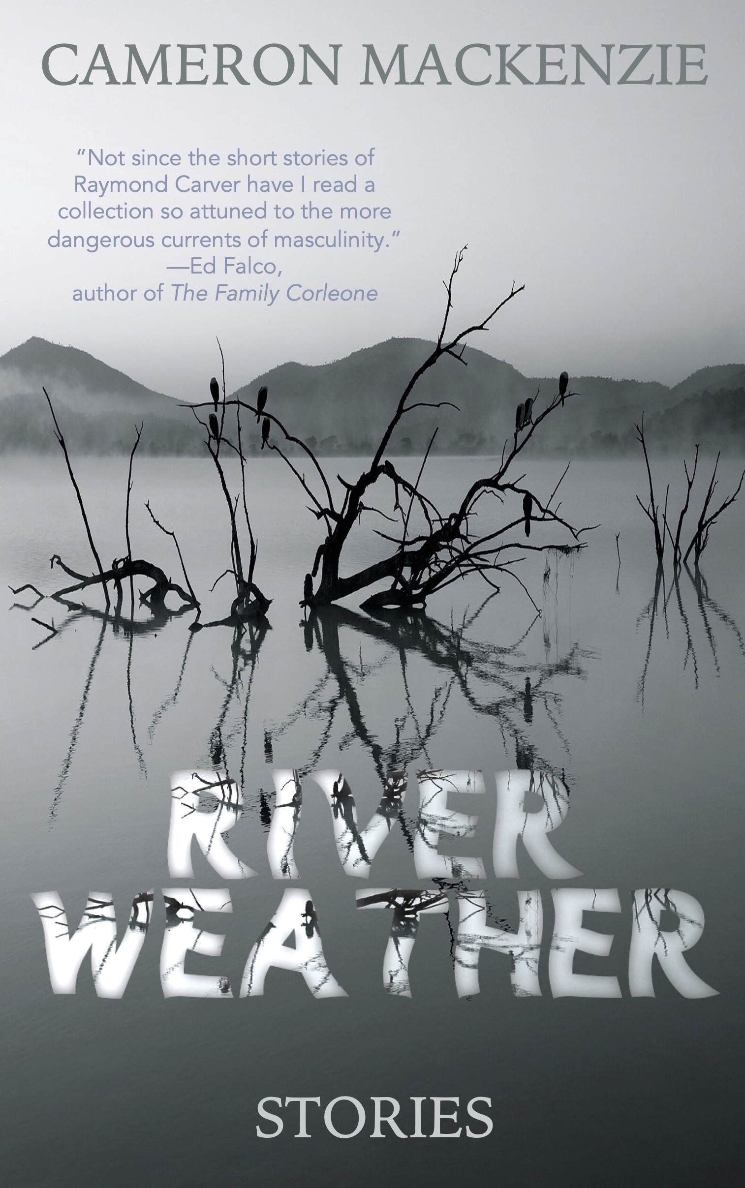 River Weather by Cameron Mackenzie Goodreads