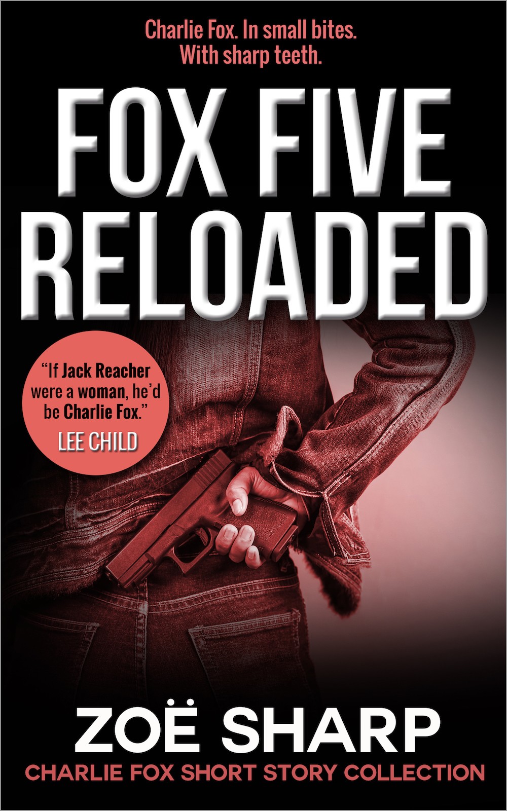 Charlie Fox Thriller book cover 2