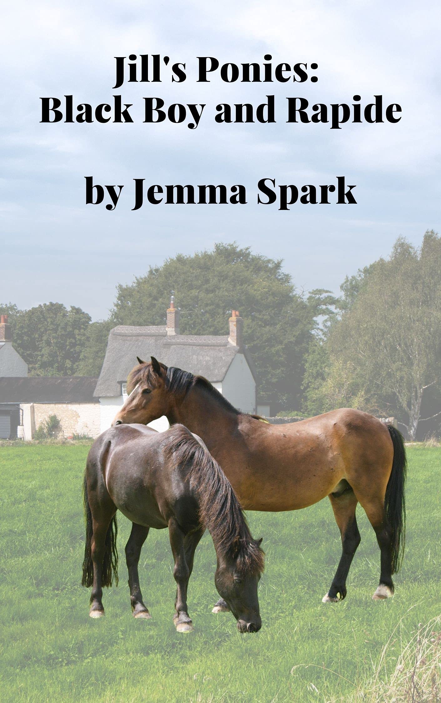 Jill's Ponies: Black Boy and Rapide
