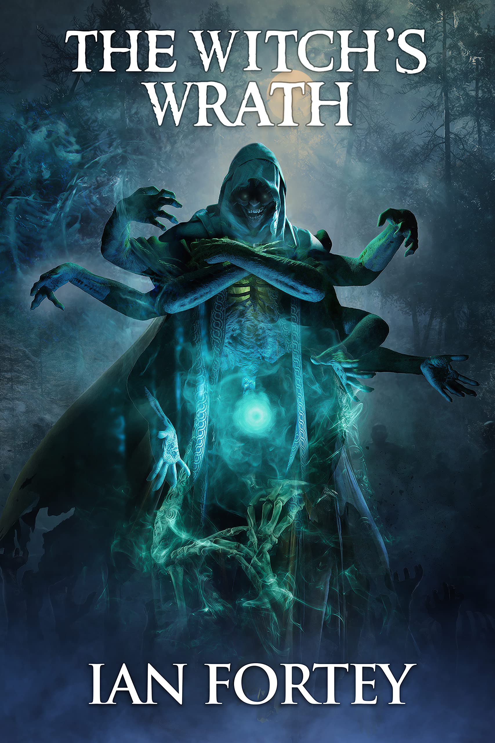 The Witch's Wrath book cover