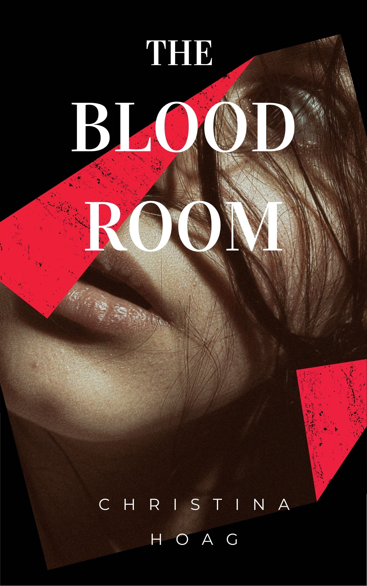 The Blood Room book cover