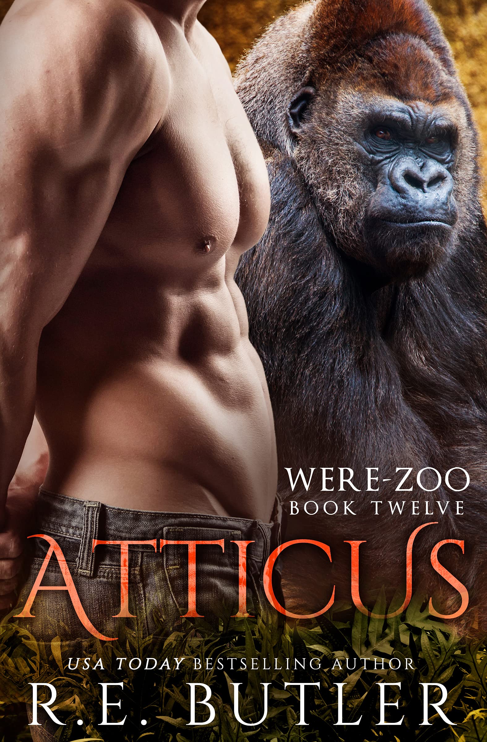 Atticus book cover