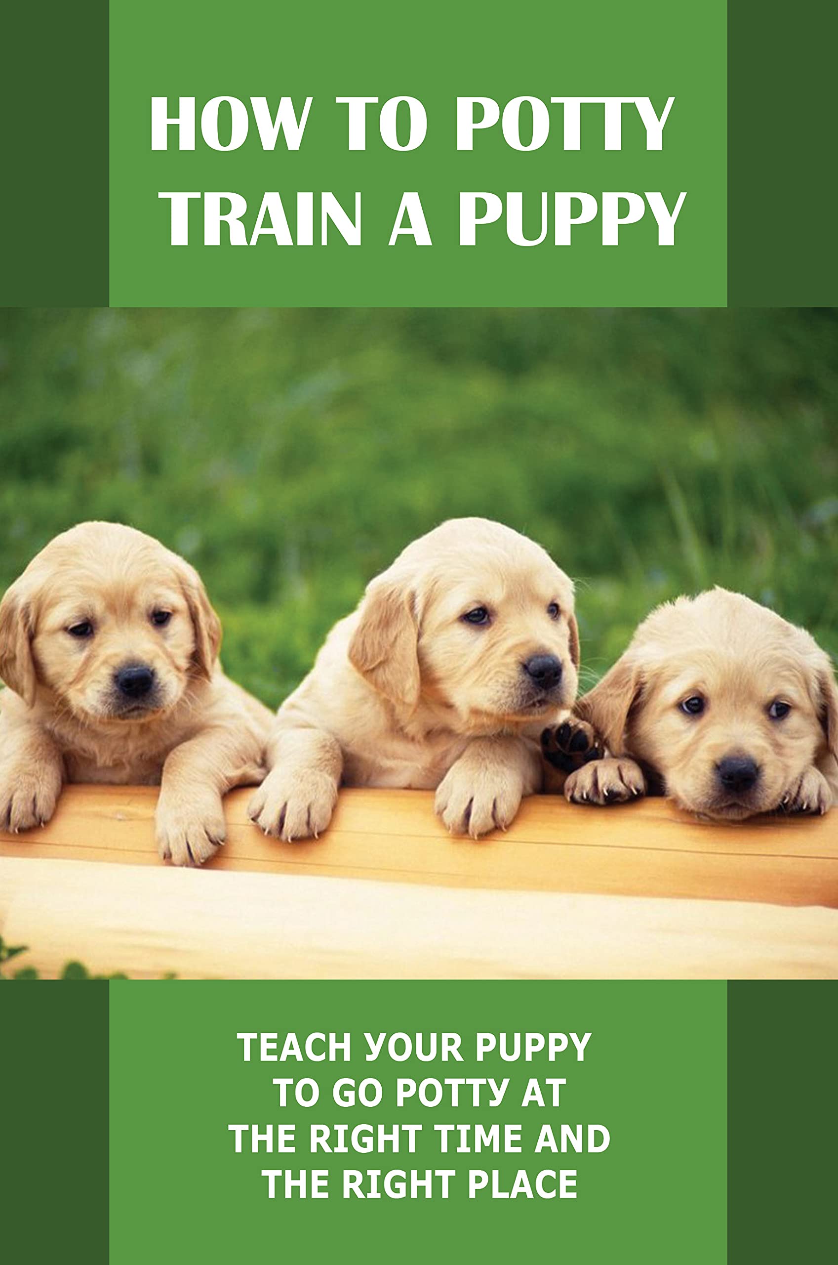 How To Potty Train A Puppy Tеасh Уоur Puppy Tо Gо Роttу Аt The Right
