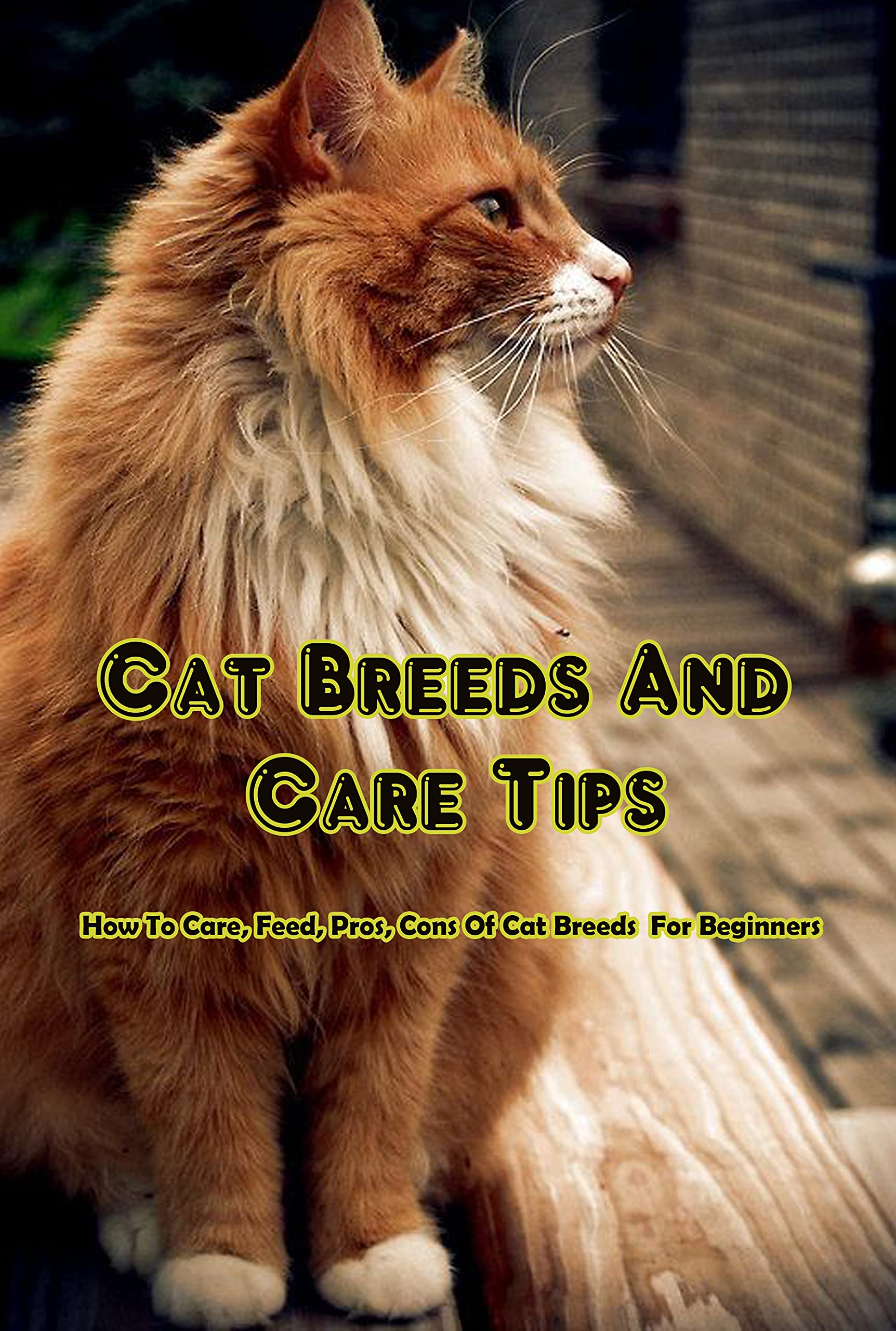 Cat Breeds And Care Tips How To Care, Feed, Pros, Cons Of Cat Breeds