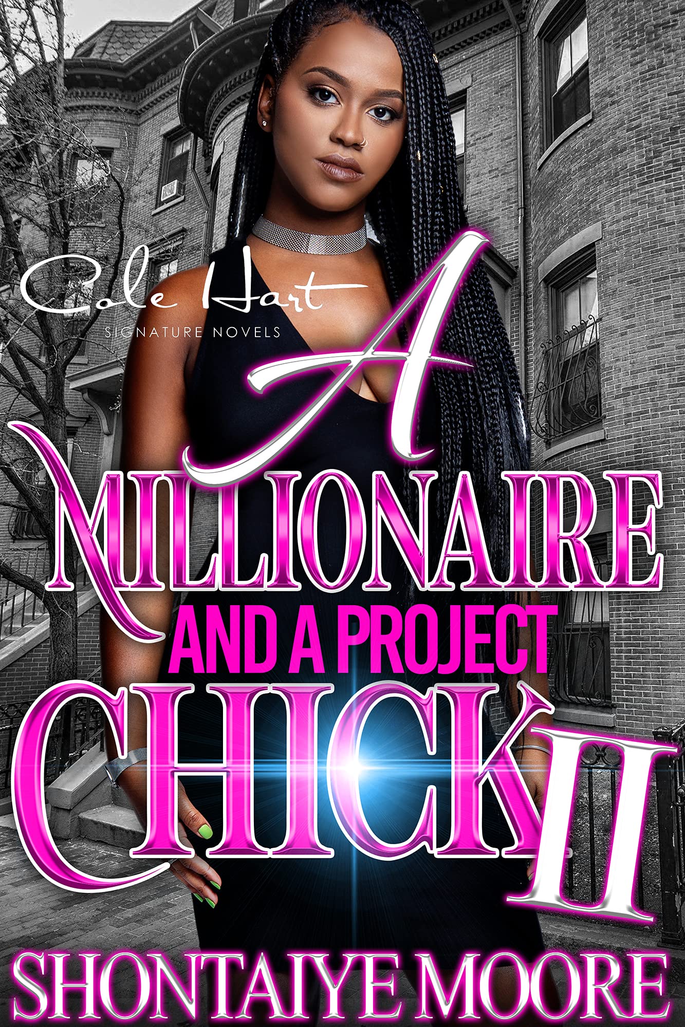 A Millionaire And A Project Chick 2 book cover