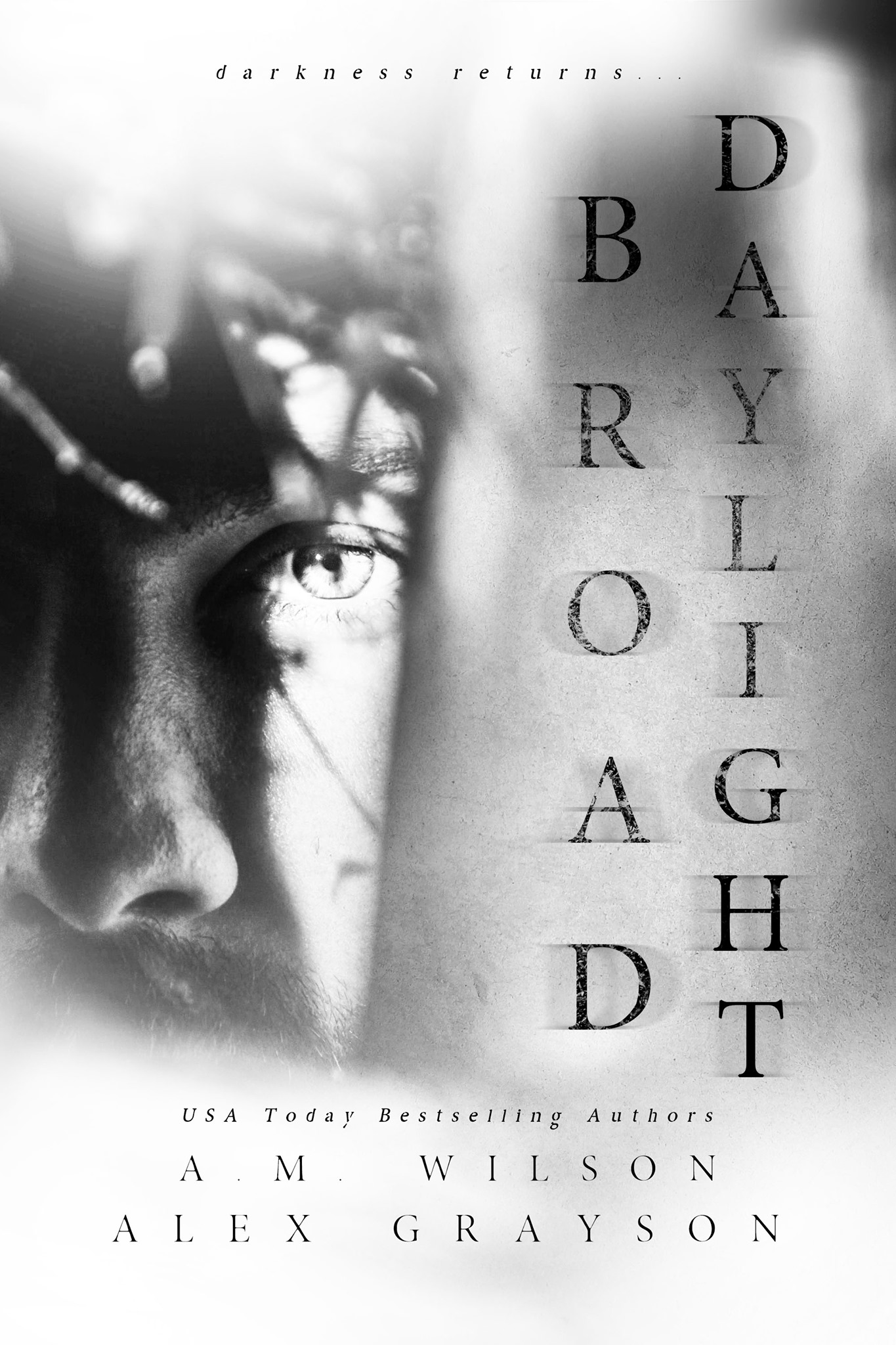 Broad Daylight book cover