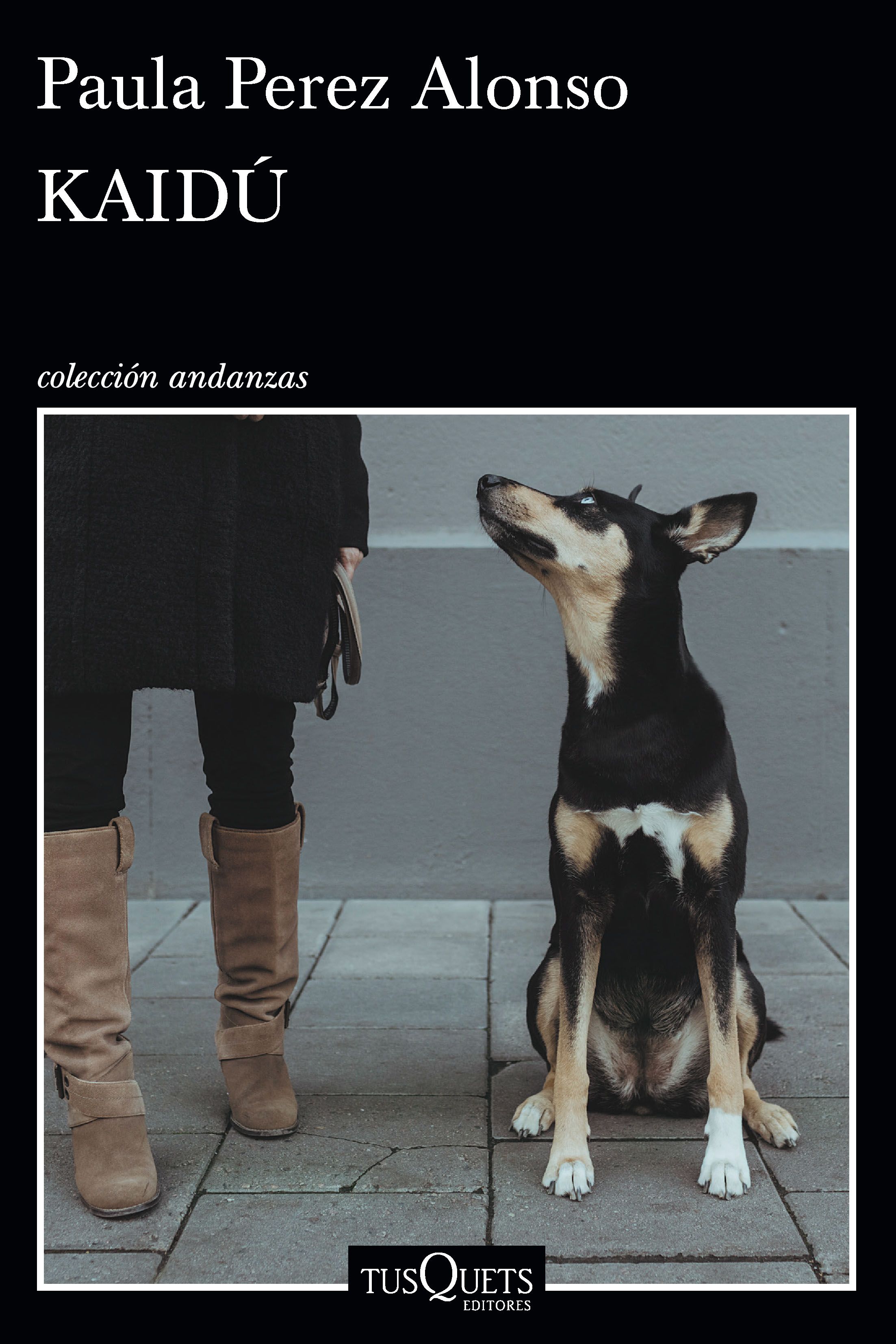 kaidú book cover
