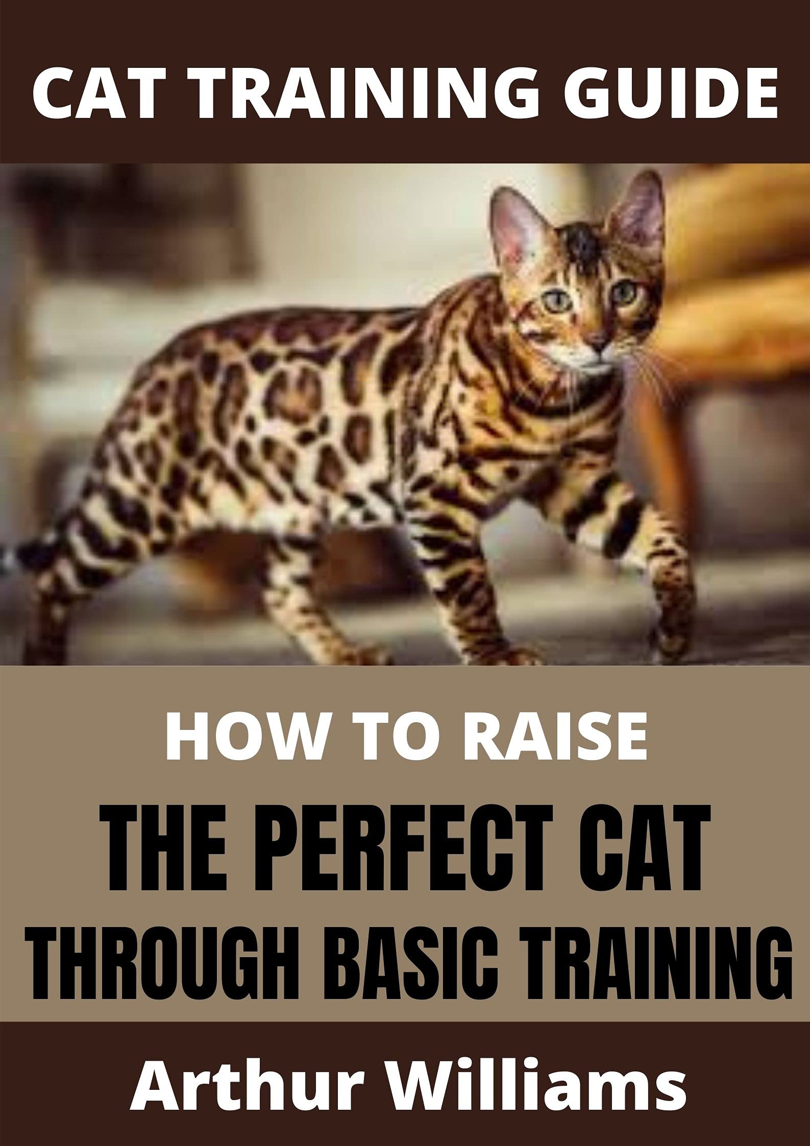 CAT TRAINING GUIDE: HOW TO RAISE THE PERFECT CAT THROUGH BASIC TRAINING ...