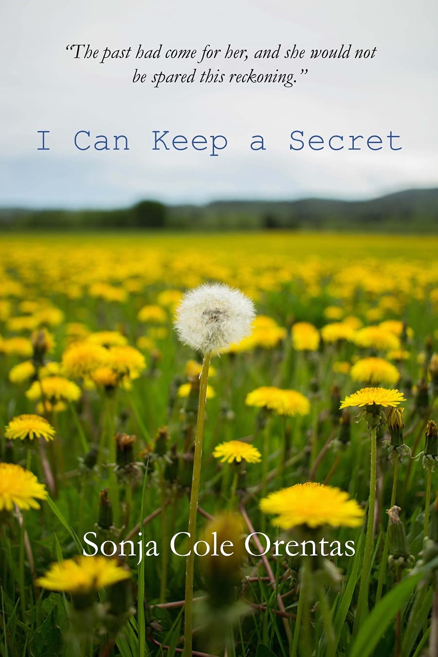 I Can Keep a Secret by Sonja Cole Orentas Goodreads