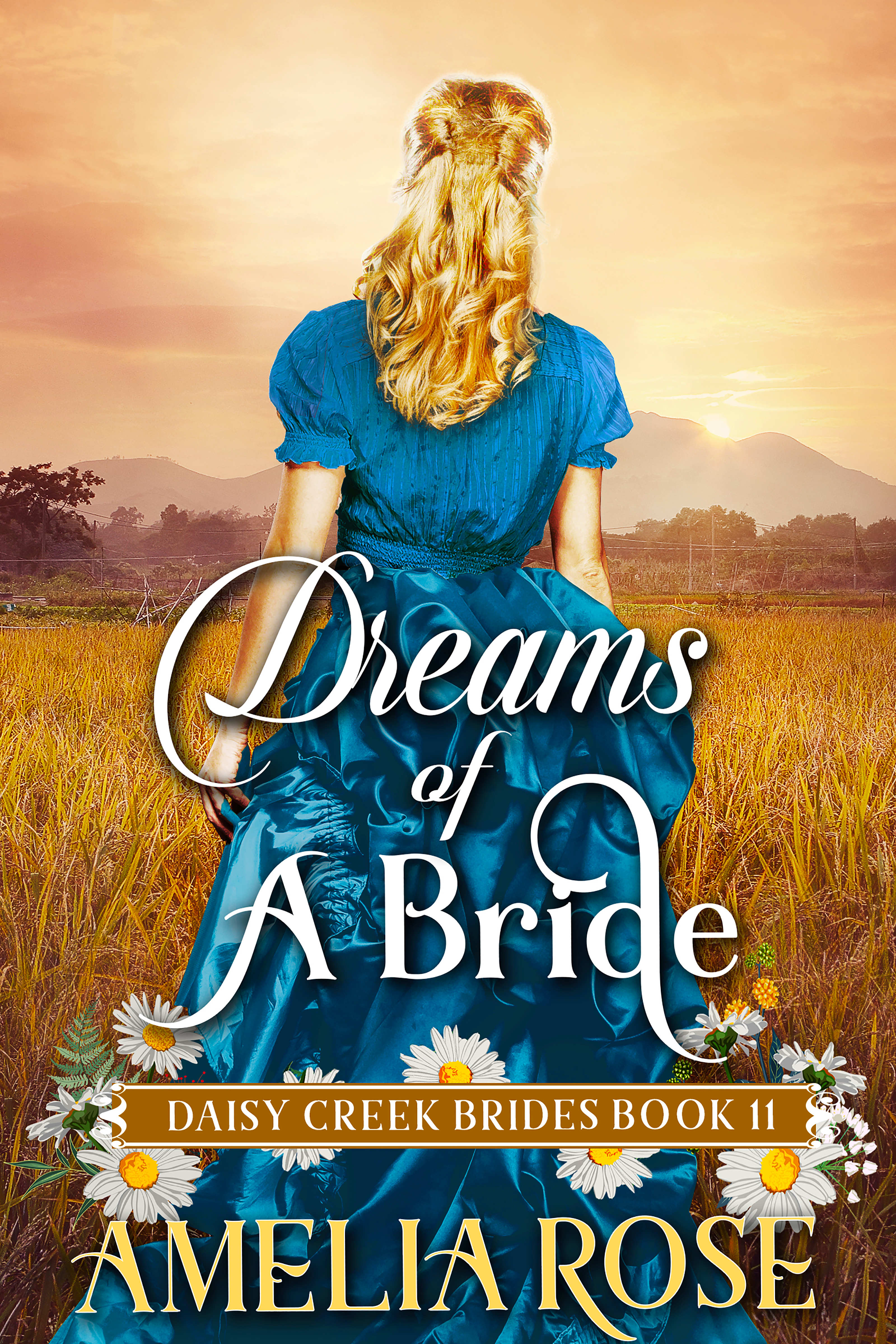 Dreams of a Bride book cover