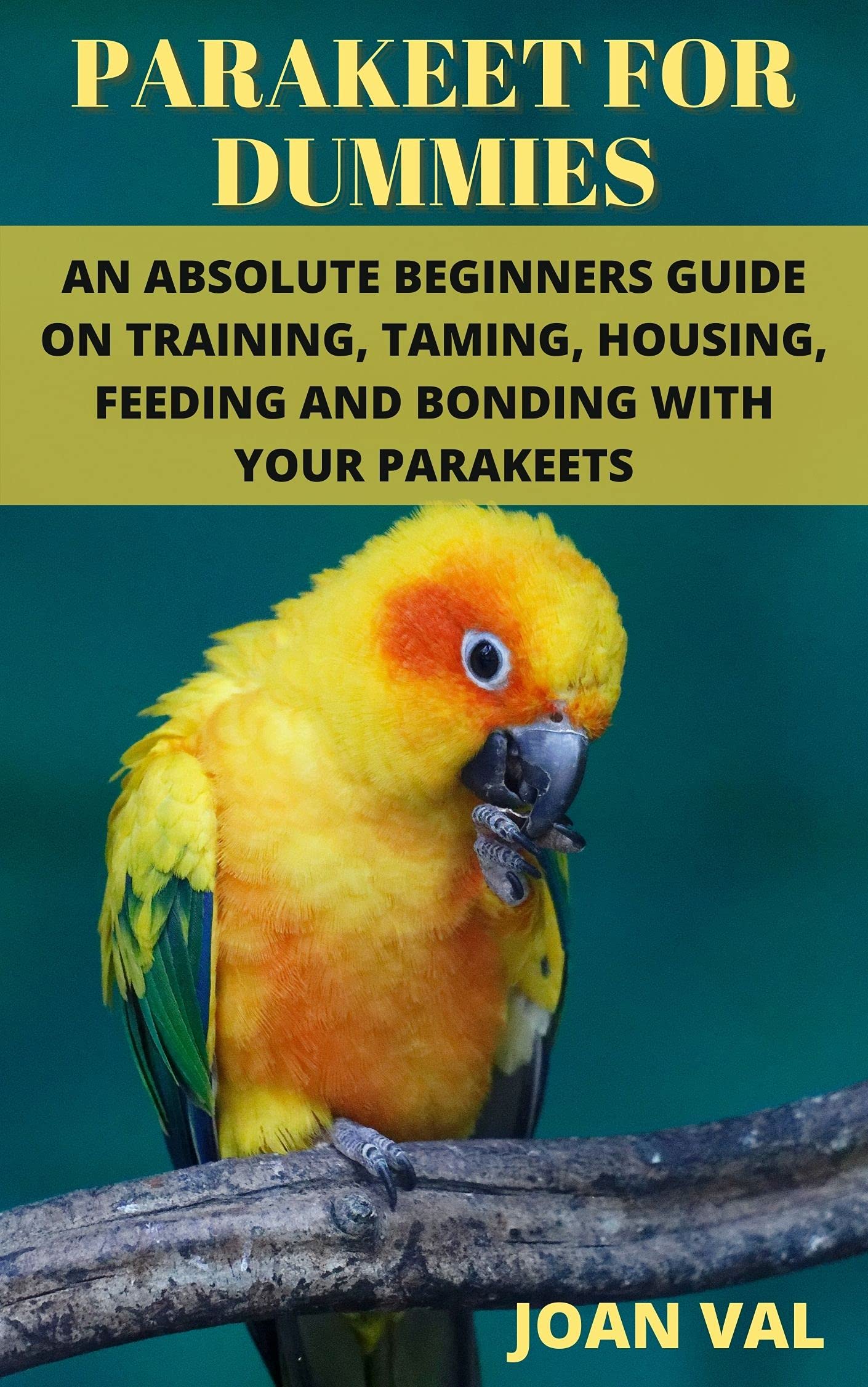 PARAKEET FOR DUMMIES AN ABSOLUTE BEGINNERS GUIDE ON TRAINING , TAMING