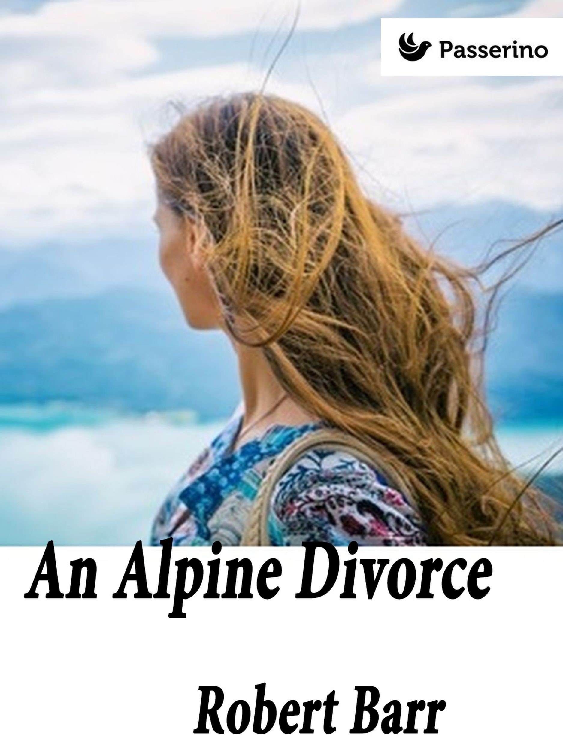 An Alpine Divorce book cover