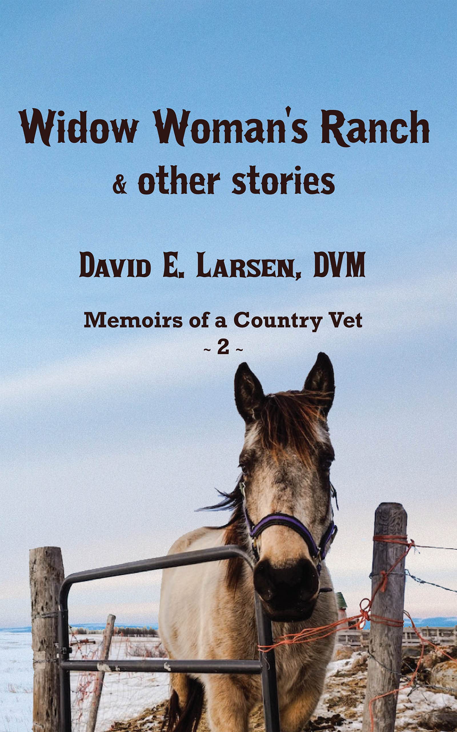 Widow Woman's Ranch & other stories: Memoirs of a Country Vet