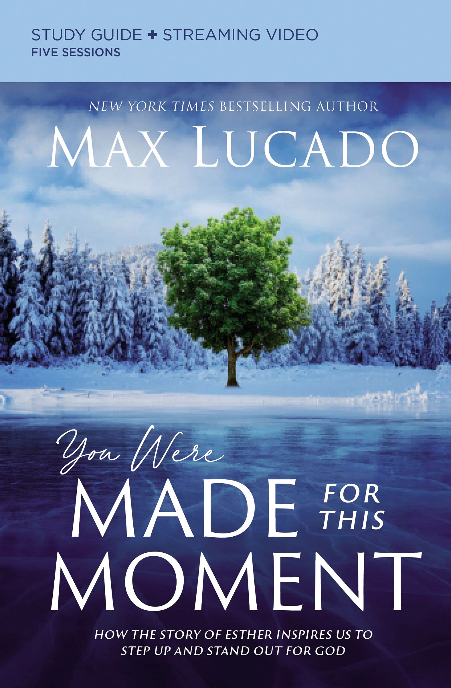 You Were Made for This Moment Bible Study Guide plus Streaming Video book cover