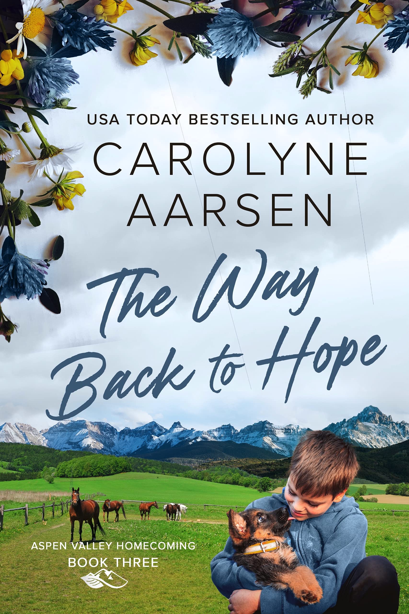 The Way Back to Hope book cover