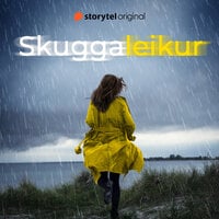 Morden i Lerviken book cover 2