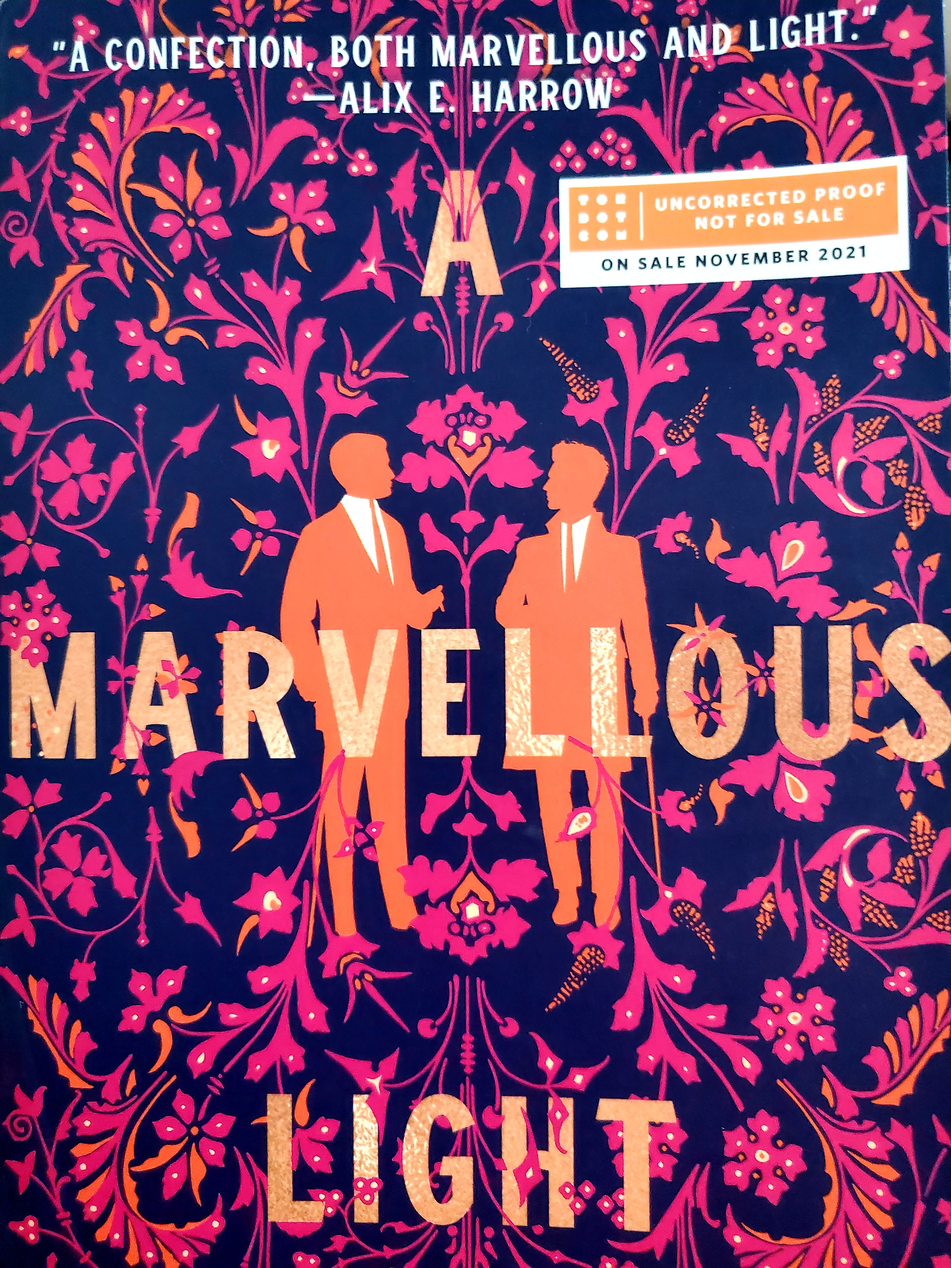A Marvellous Light (The Last Binding, #1)