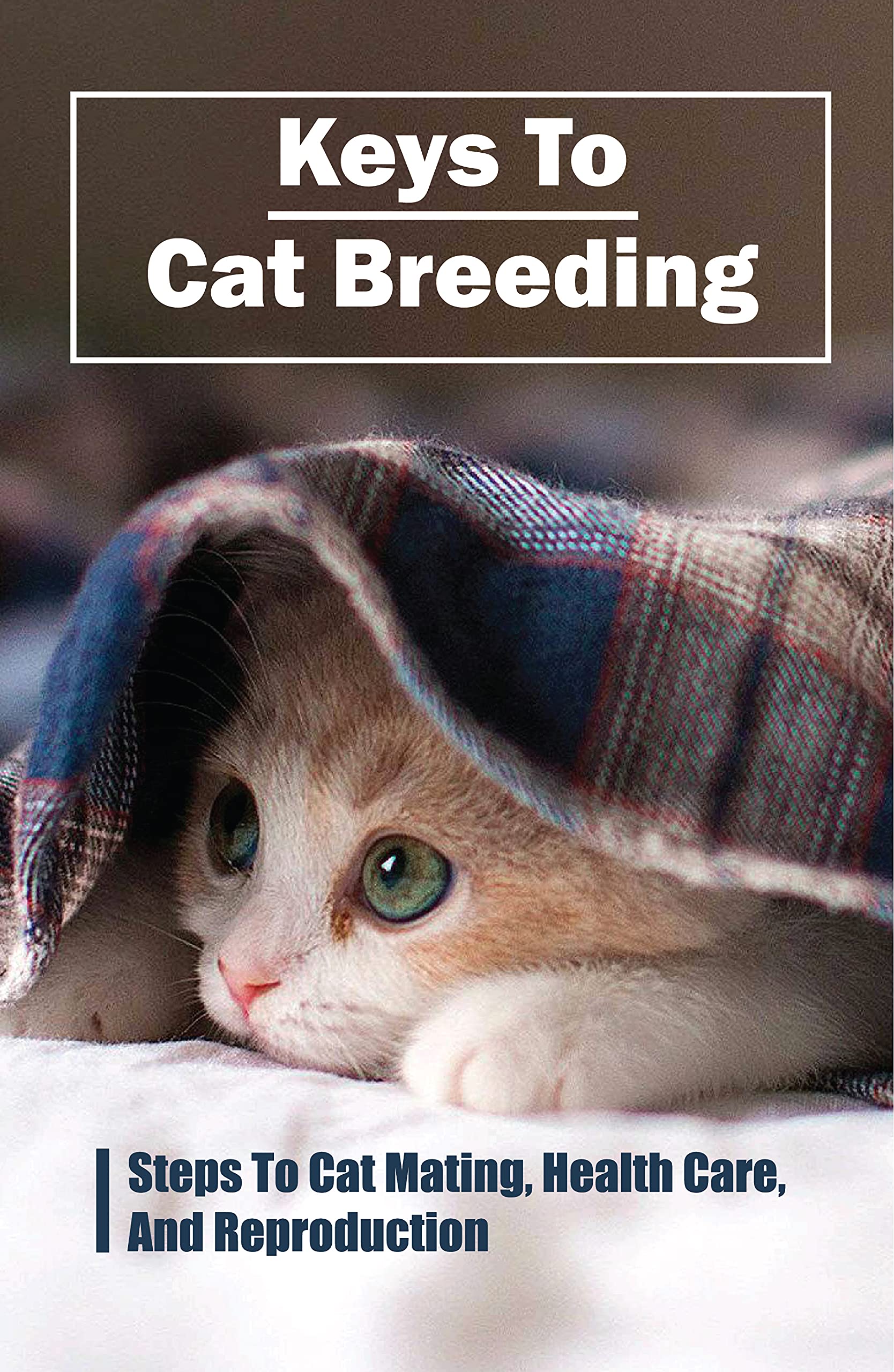 Keys To Cat Breeding Steps To Cat Mating, Health Care, And