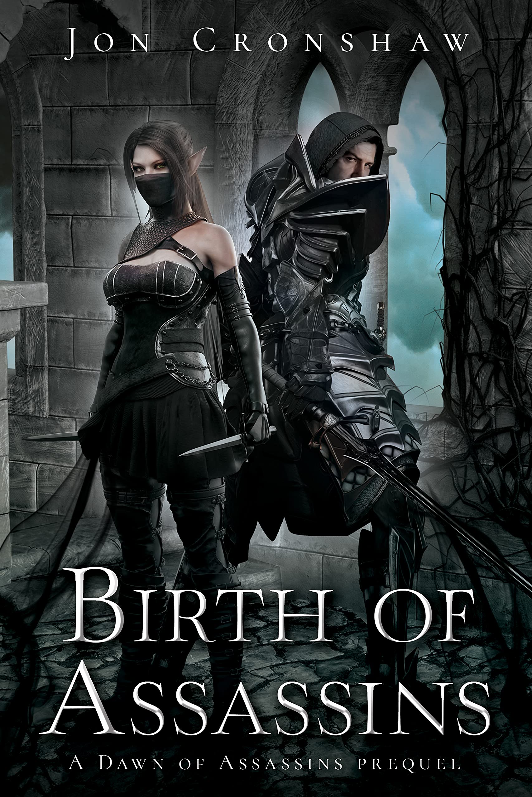 Birth of Assassins book cover