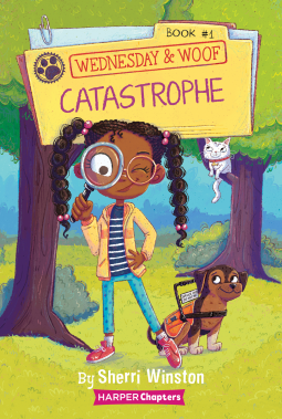 Catastrophe book cover