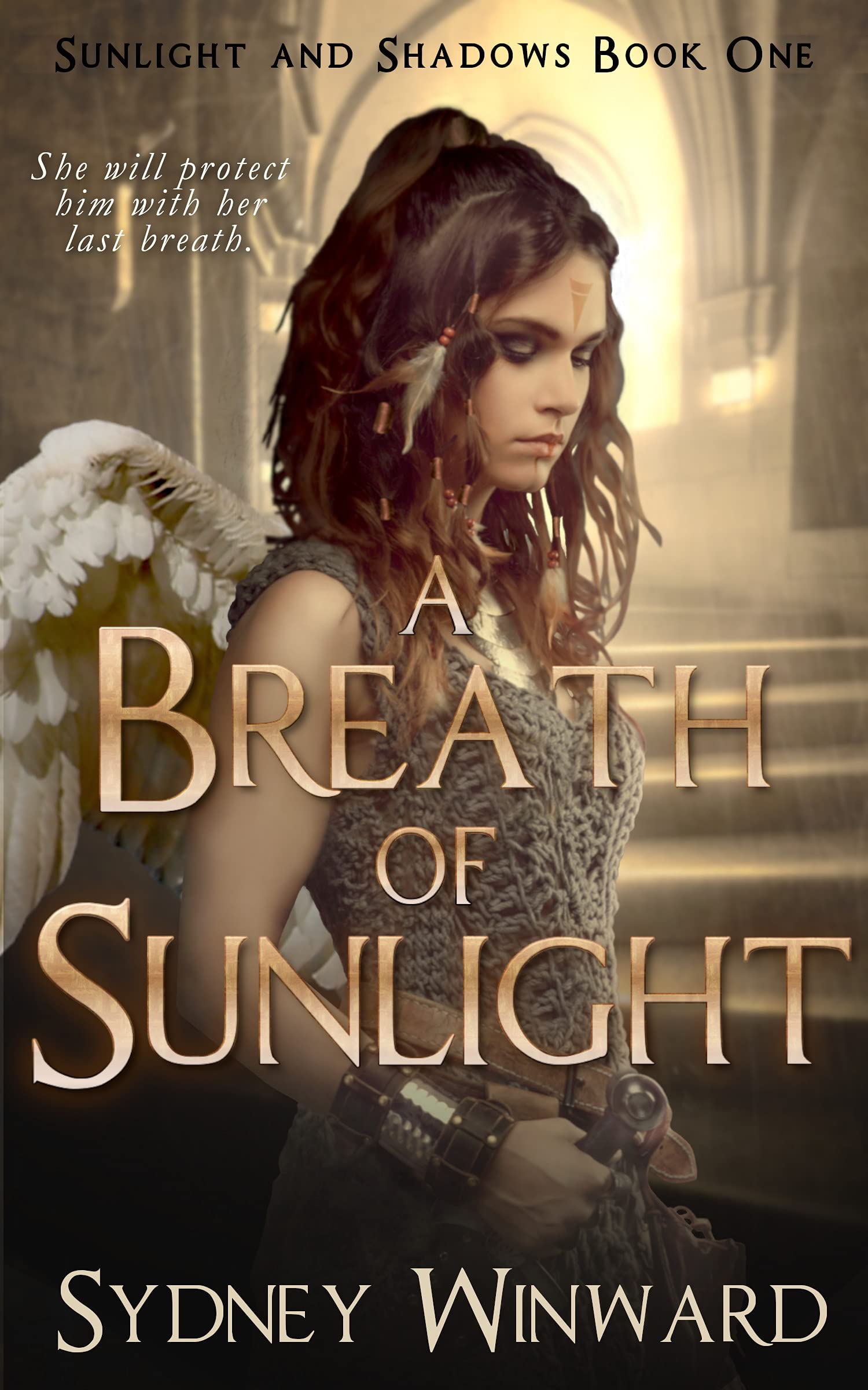 Sunlight and Shadows book cover 1