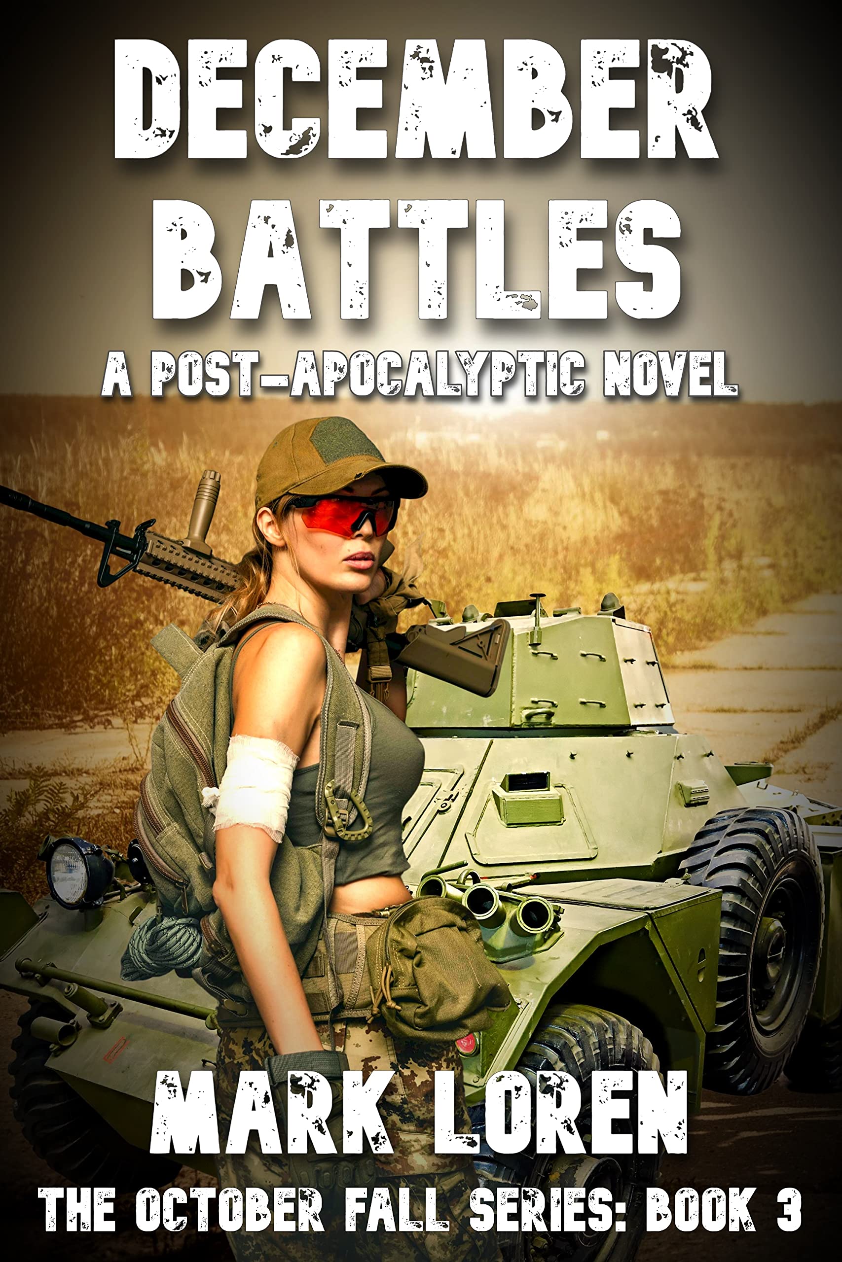 DECEMBER BATTLES book cover