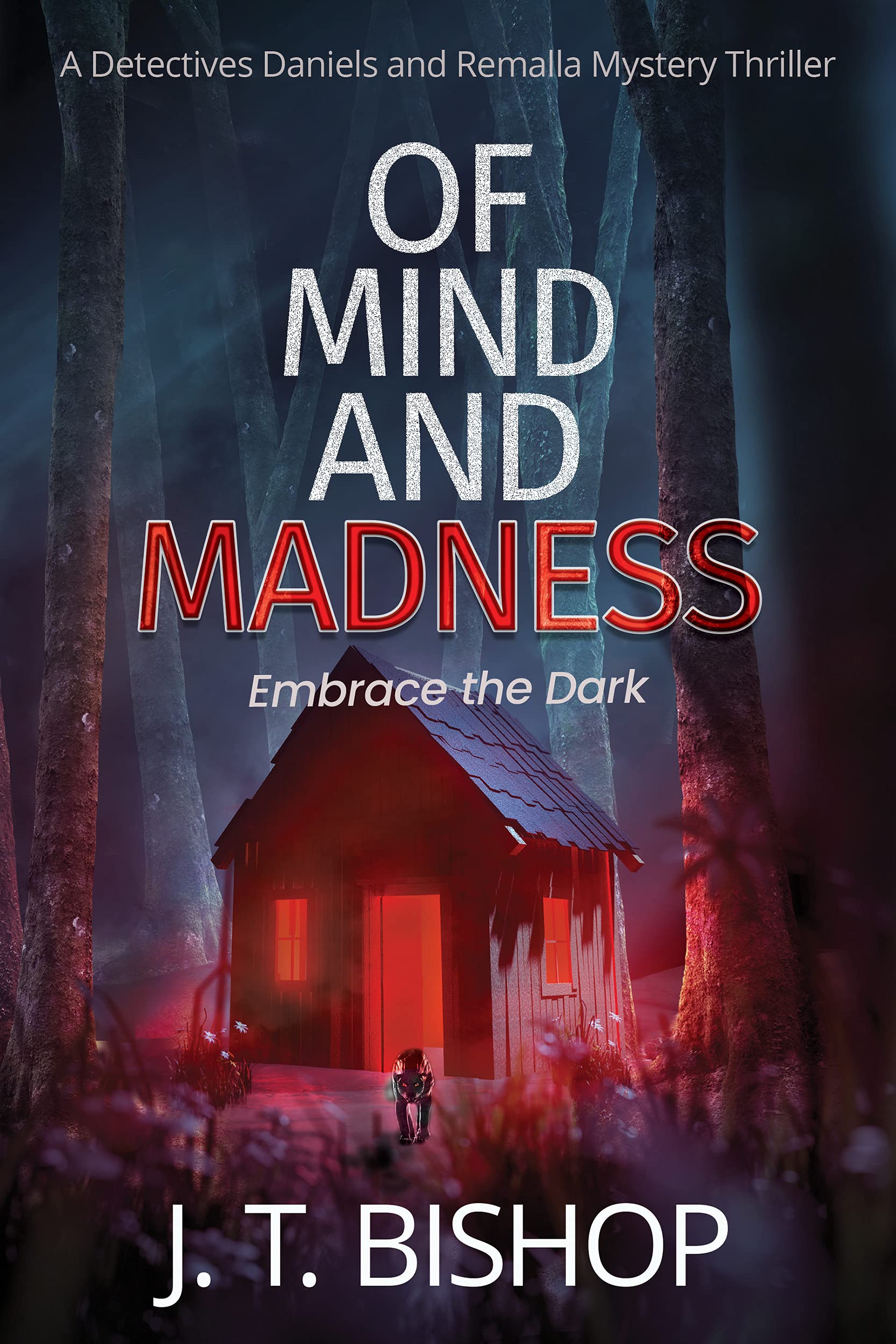 Of Mind and Madness book cover
