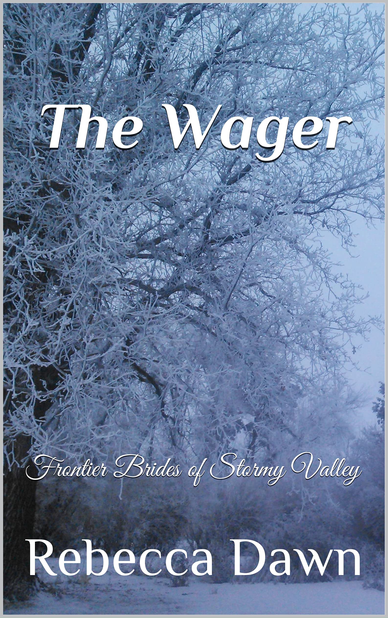 The Wager: Frontier Brides of Stormy Valley