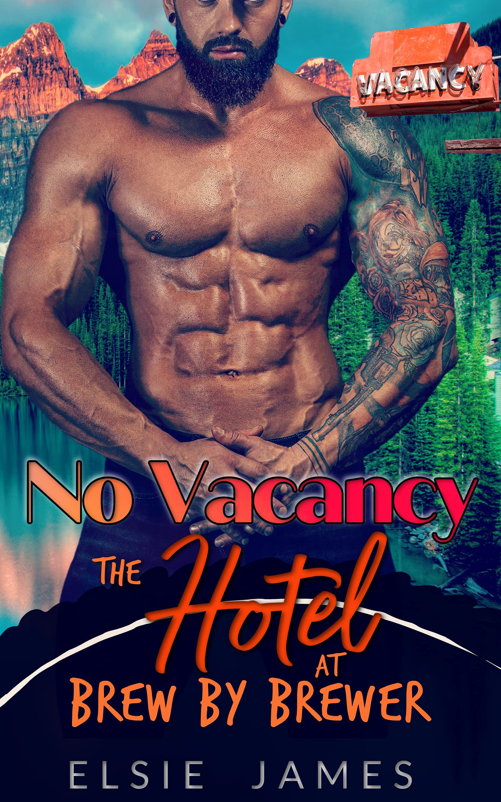 No Vacancy book cover