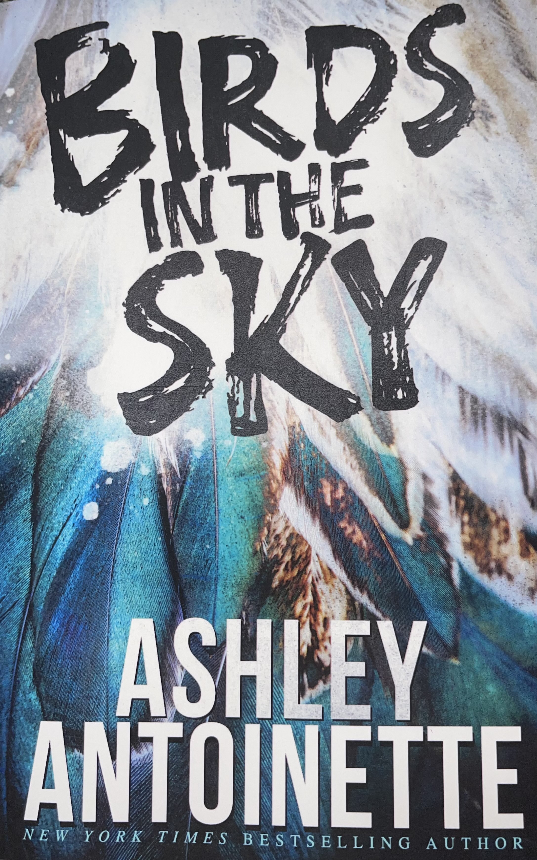 Birds in the Sky book cover
