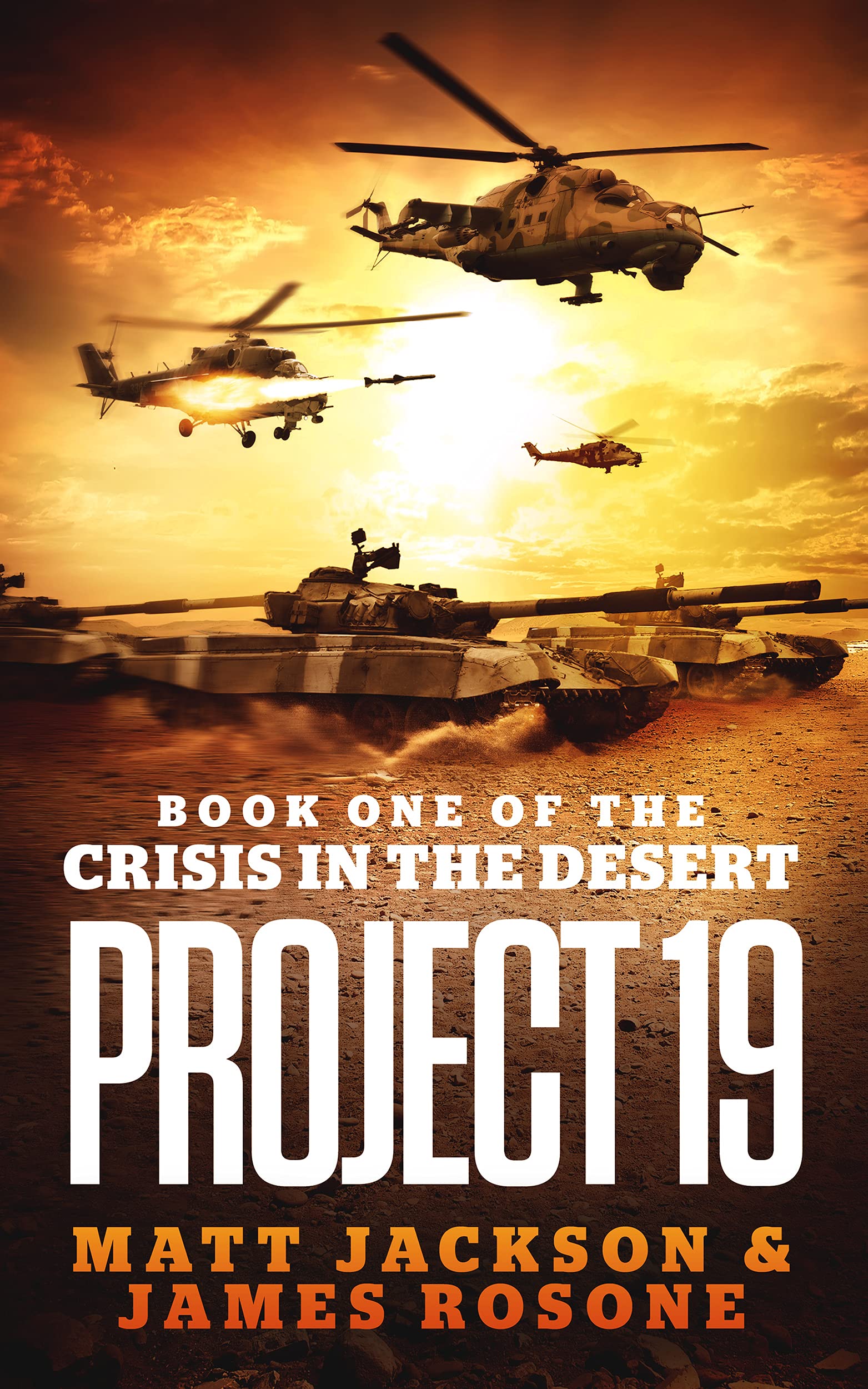 Crisis in the Desert book cover 1