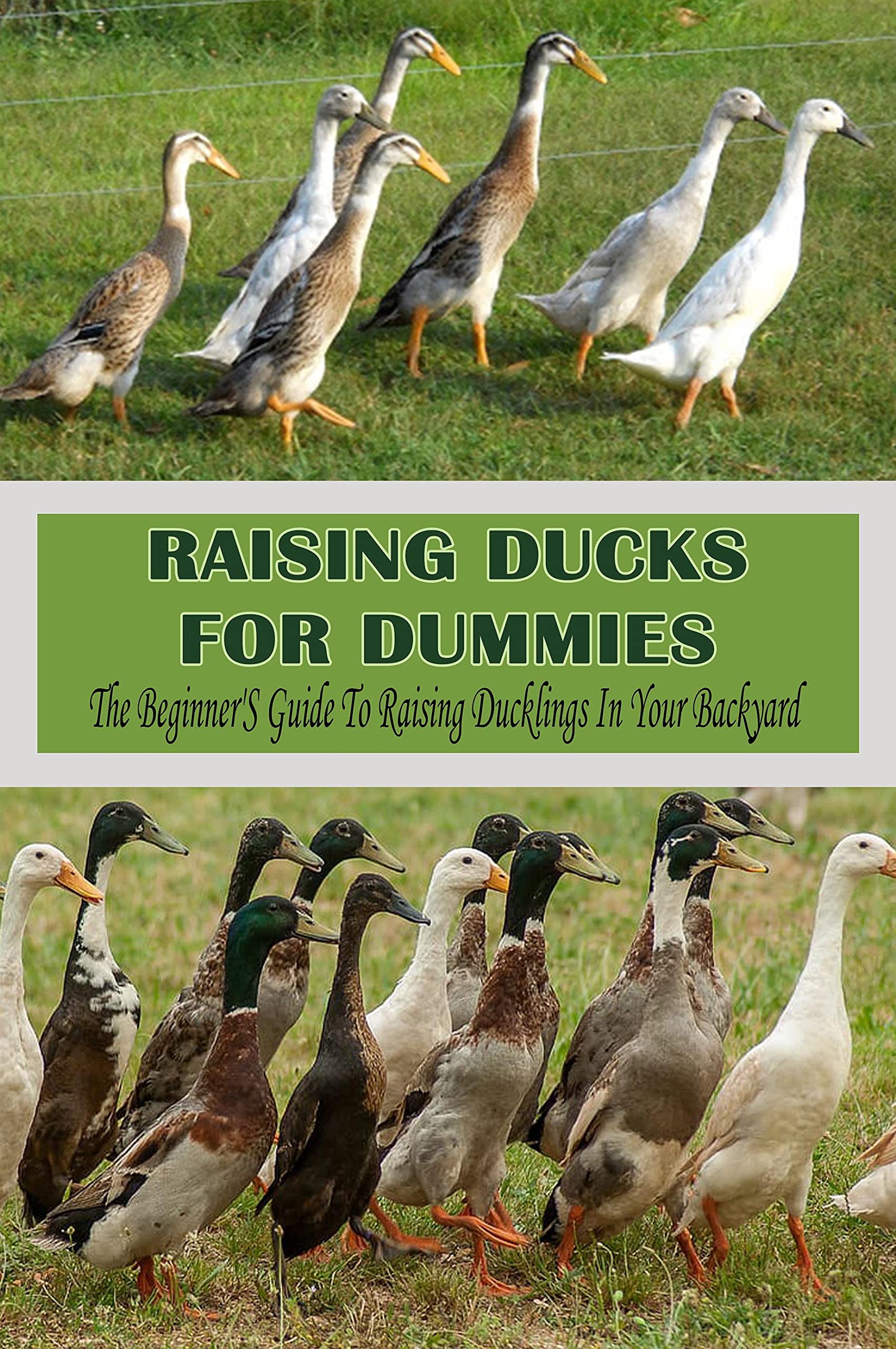 Raising Ducks For Dummies The Beginner'S Guide To Raising Ducklings In