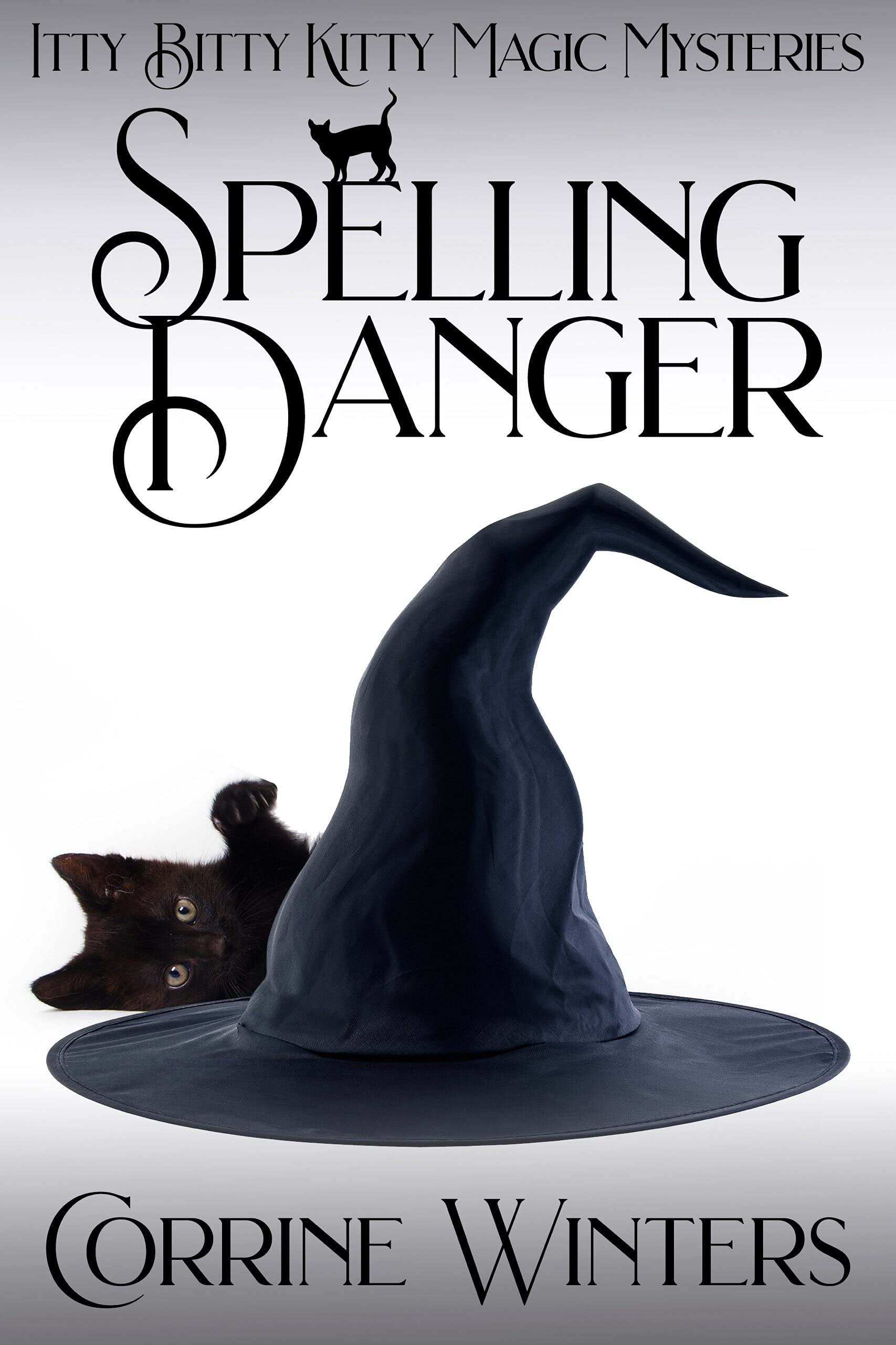 Spelling Danger book cover