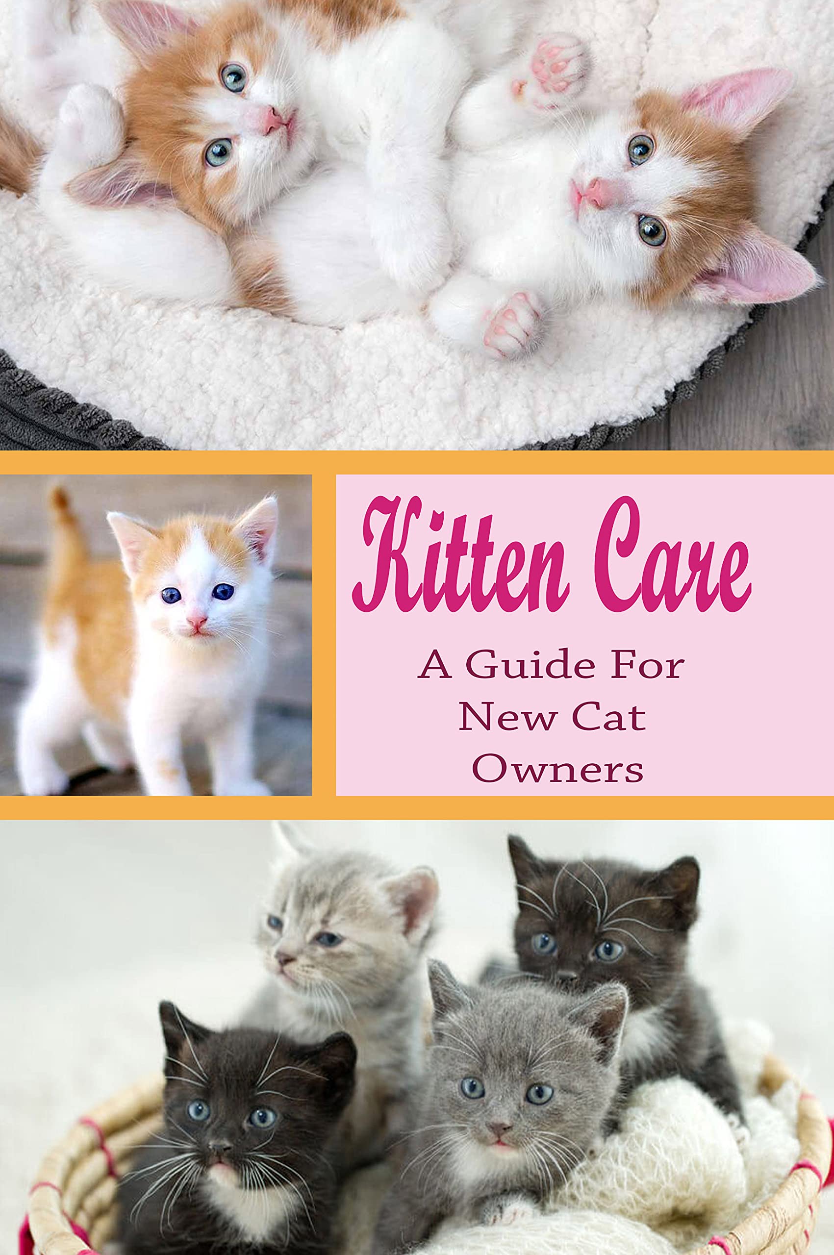 Kitten Care A Guide for New Cat Owners Fun Cat Facts For Kids by