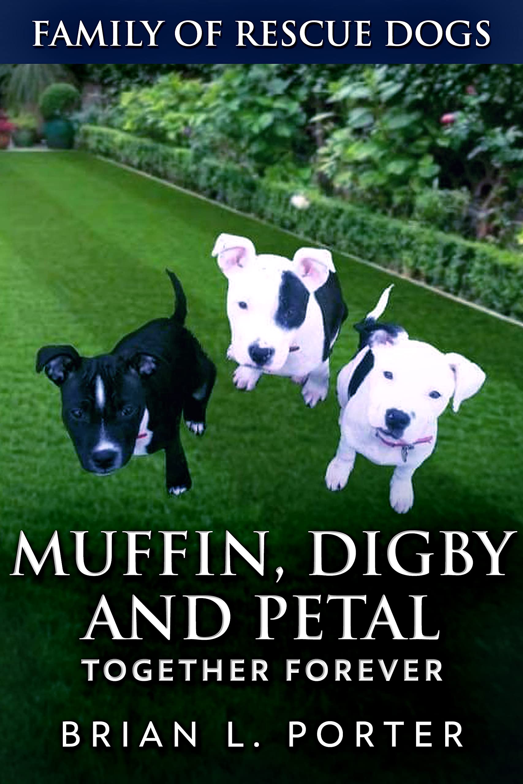 Muffin, Digby And Petal: Together Forever