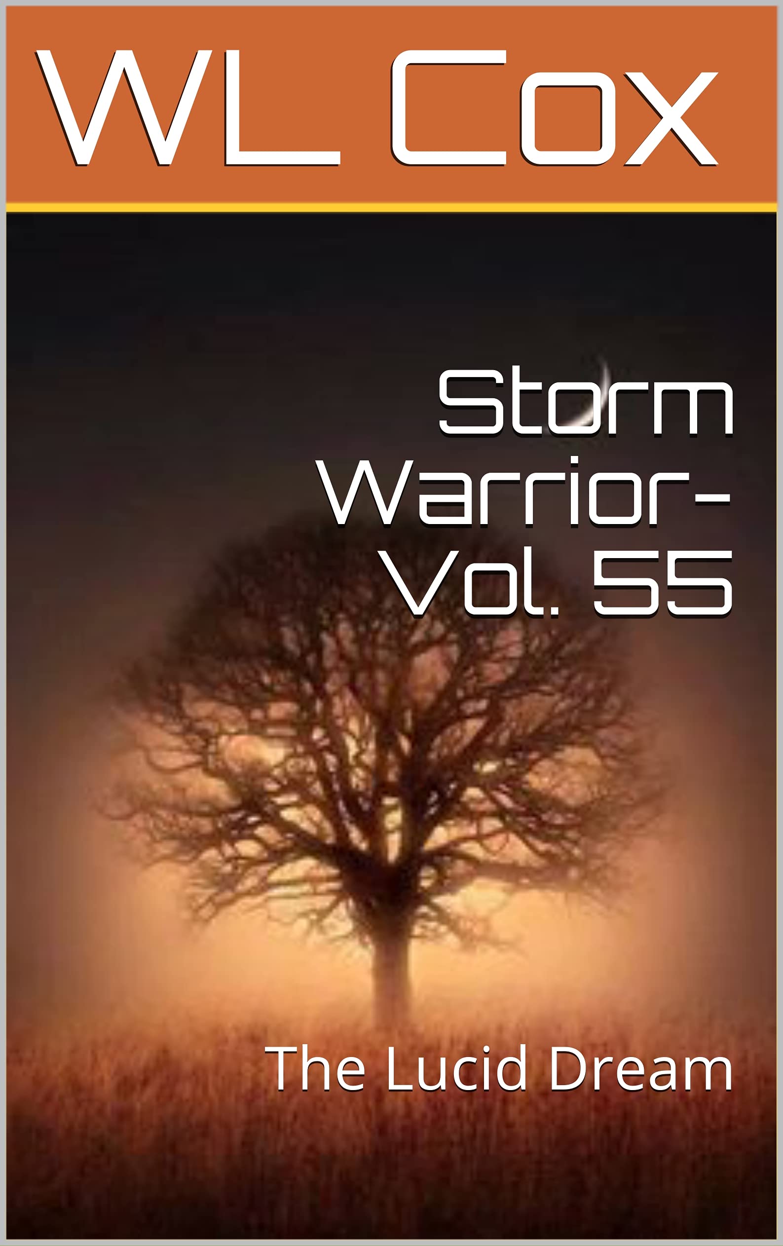 Storm Warrior-Vol. 55 book cover