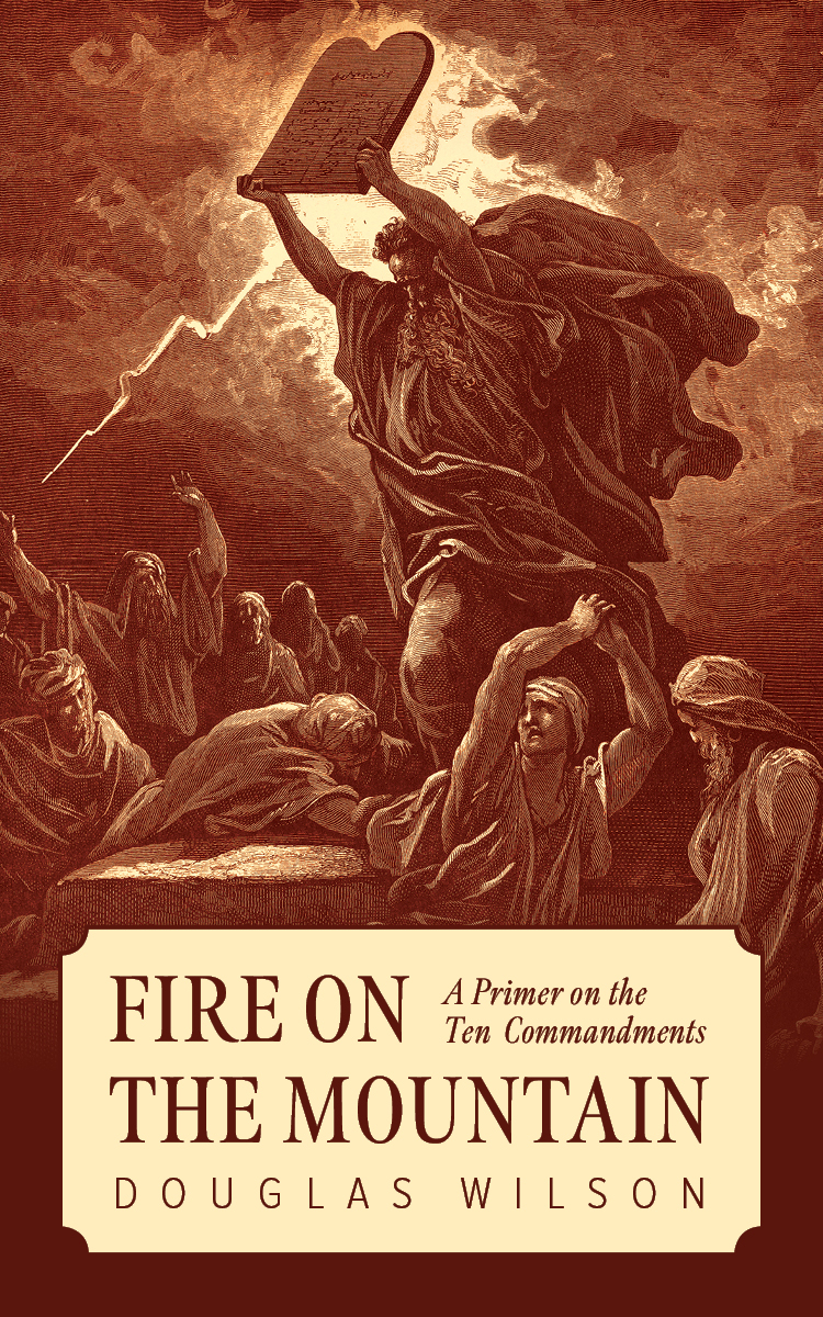 Fire on the Mountain book cover